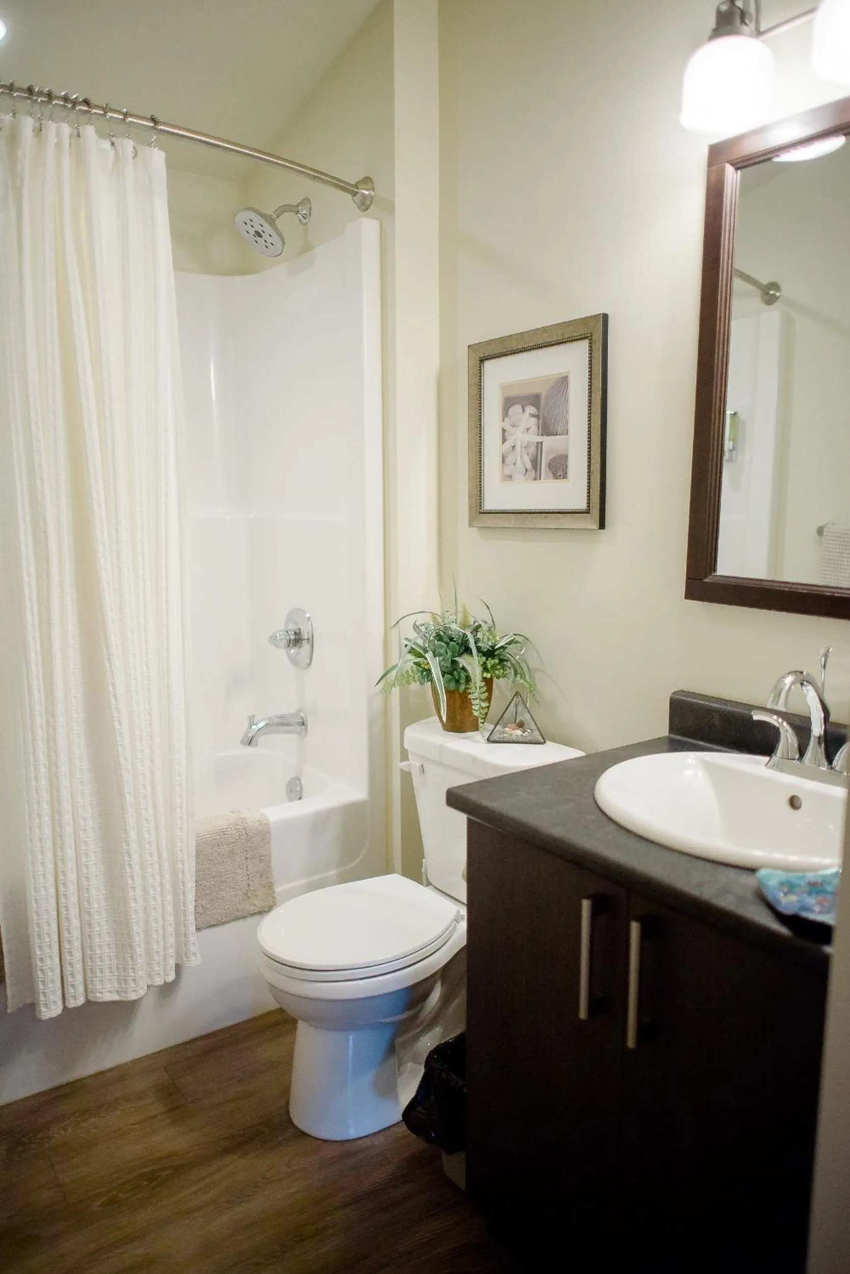 Shower in Fish Tales Cottage