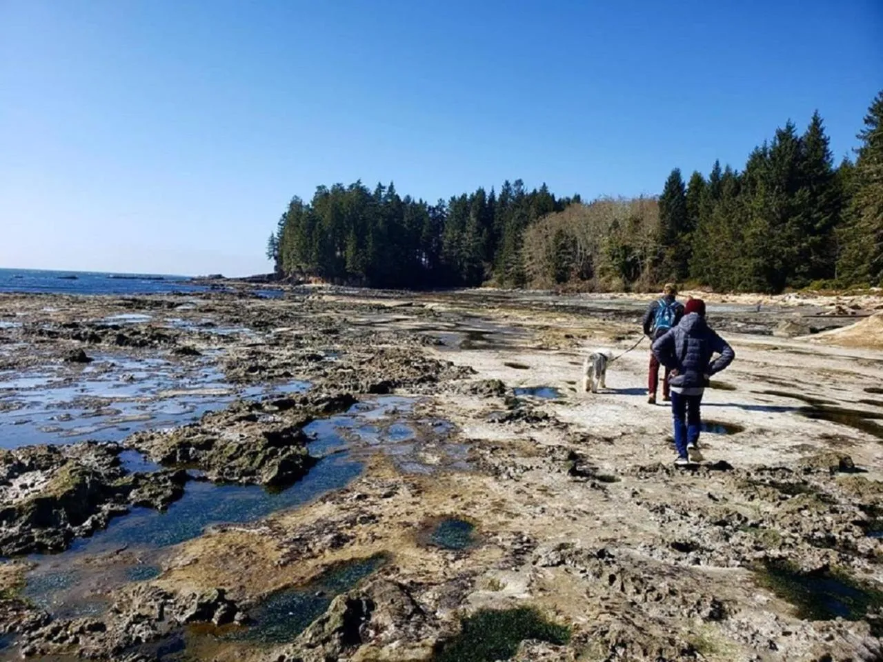 Nearby landmark in Fish Tales Cottage