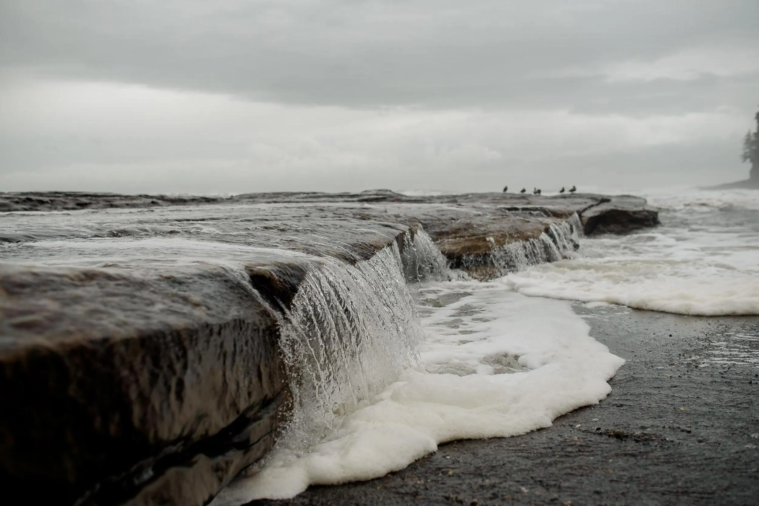 Natural landscape in Fish Tales Cottage