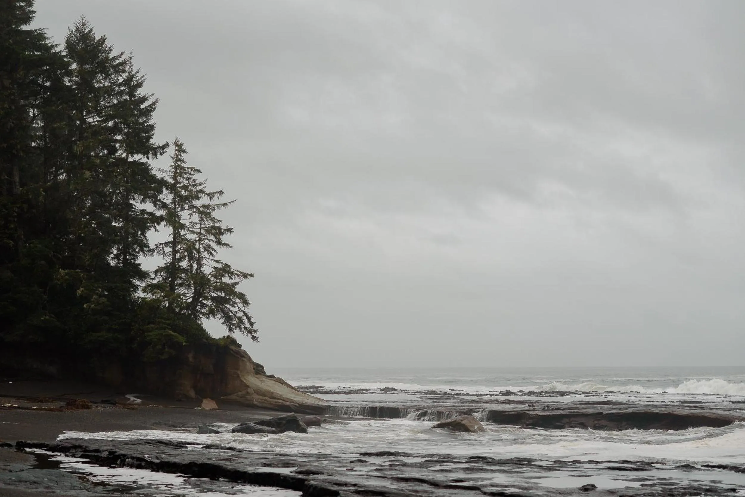 Natural landscape in Fish Tales Cottage