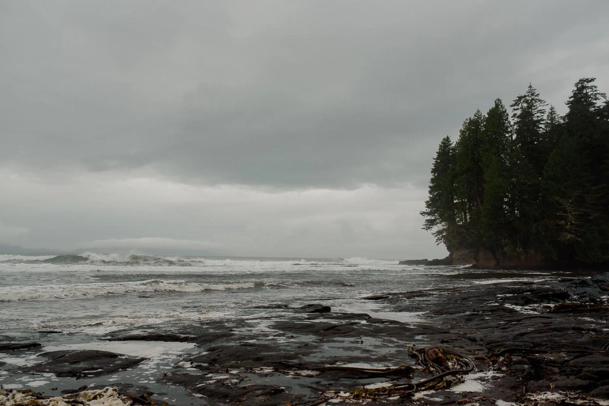 Natural landscape in Fish Tales Cottage