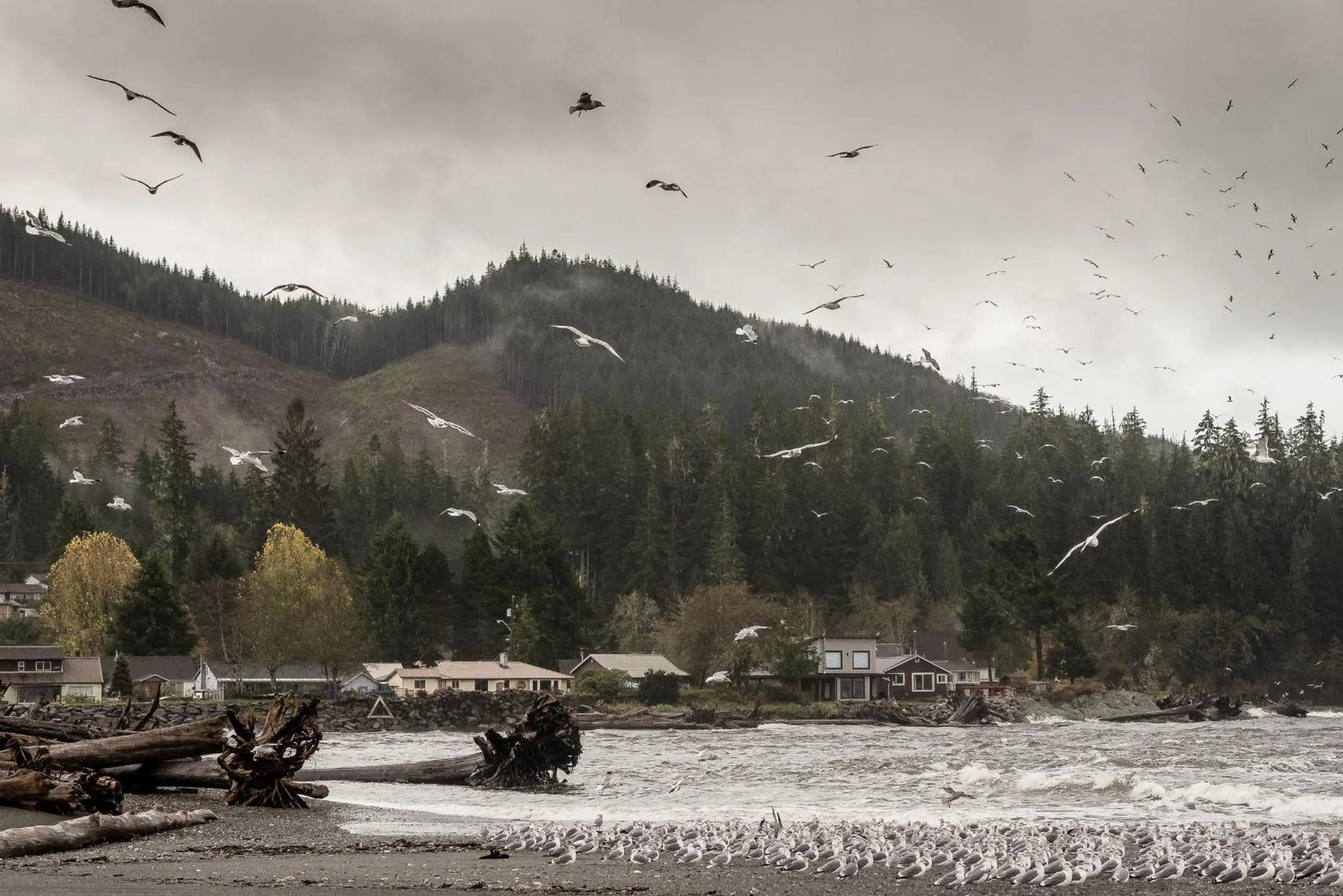 Neighbourhood in Fish Tales Cottage