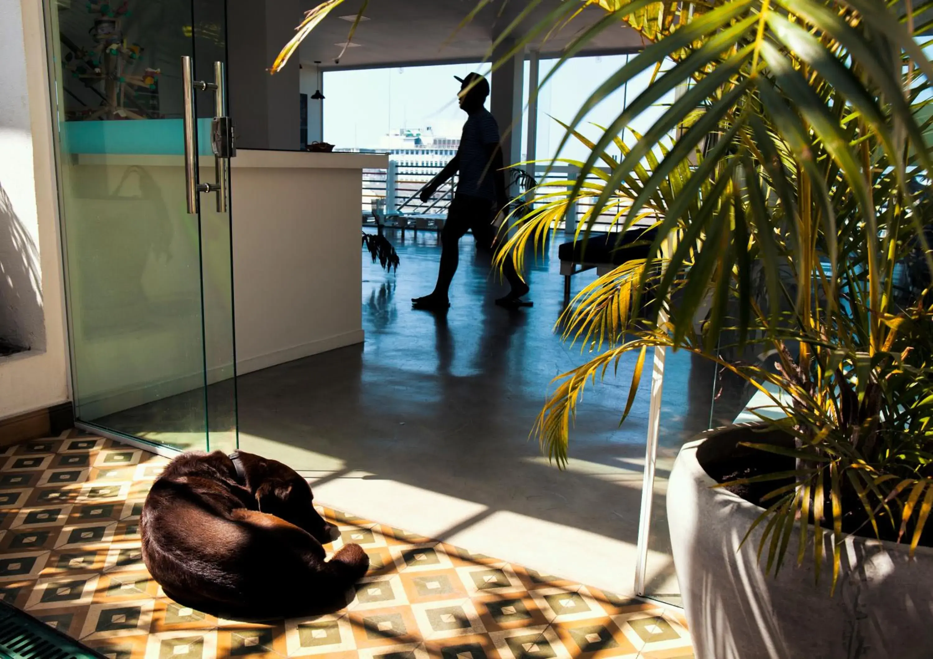 Lobby or reception in Aquarela do Leme Lobby or reception in Aquarela do Leme