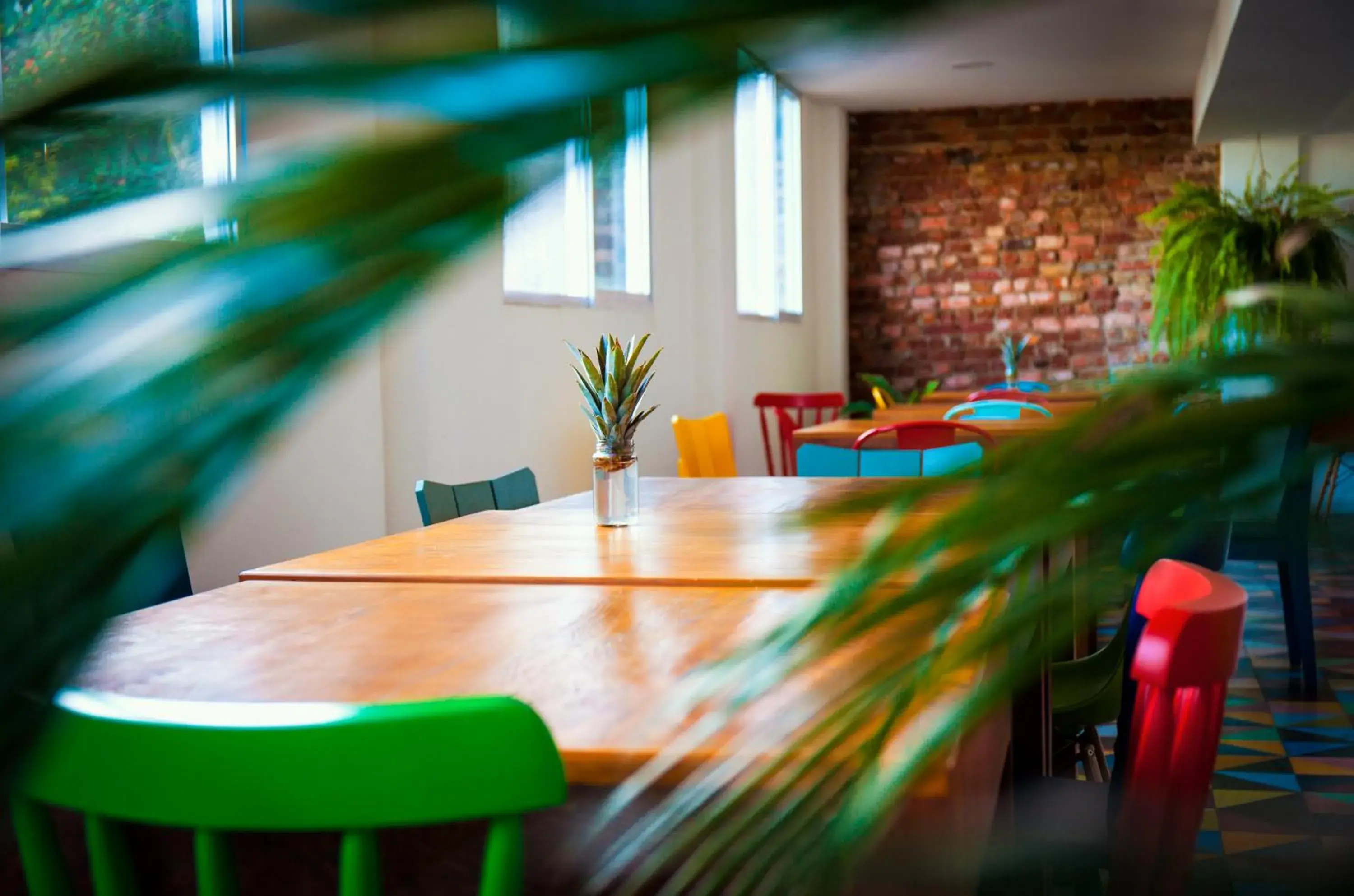 Restaurant/places to eat in Aquarela do Leme Restaurant/places to eat in Aquarela do Leme