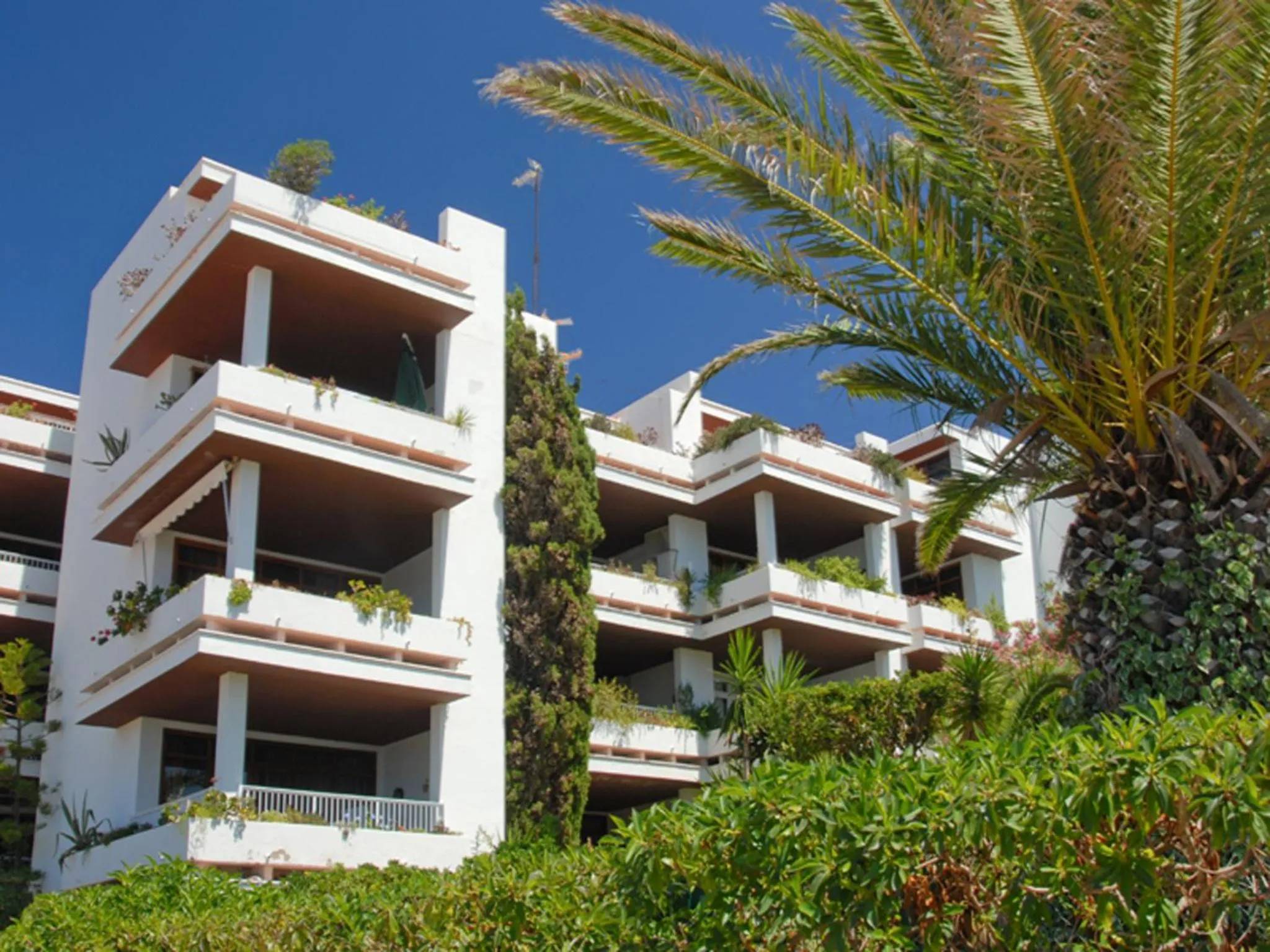 Property building in Apartamentos del Rey