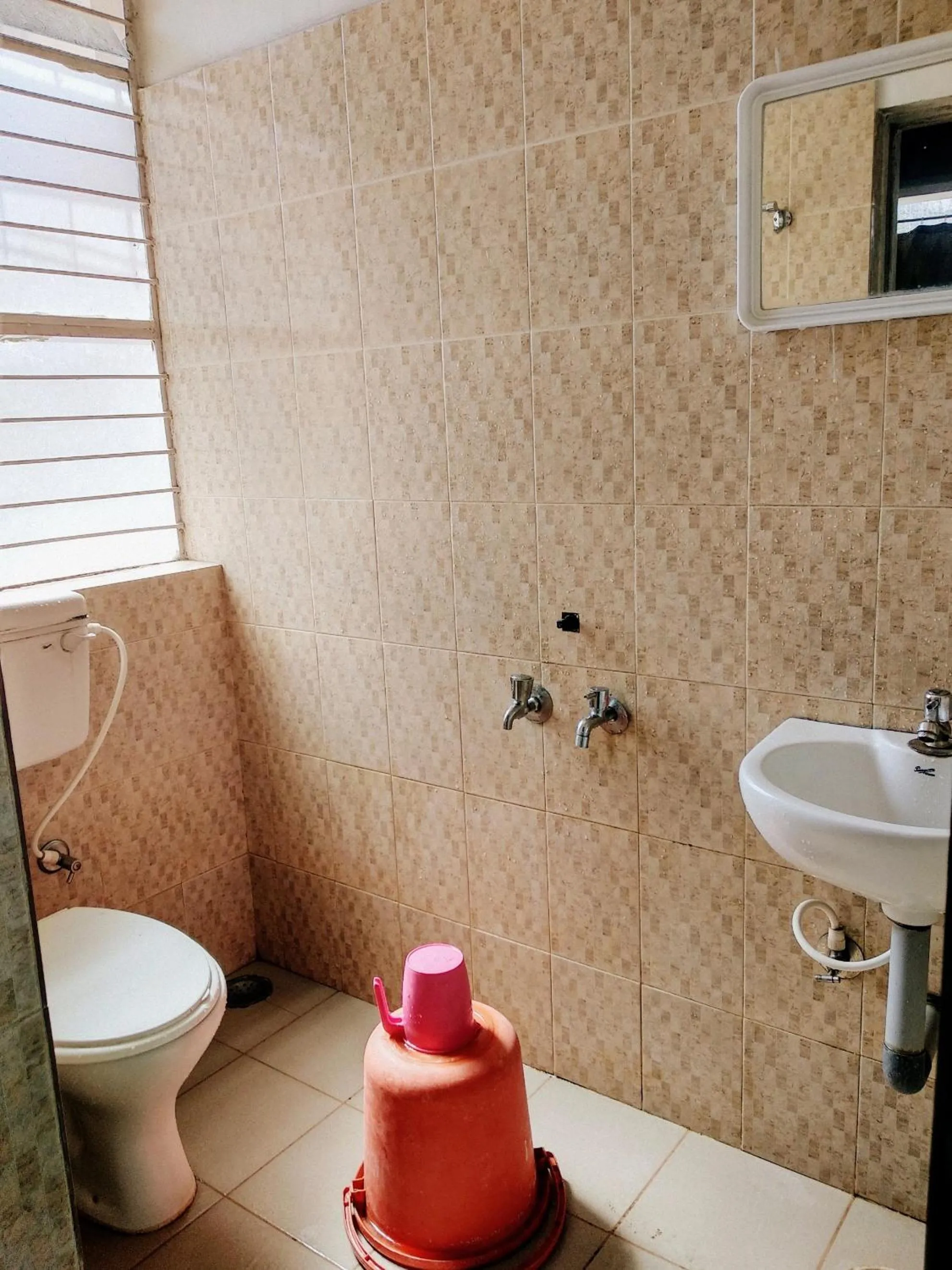 Hotel Ashwini Lodge