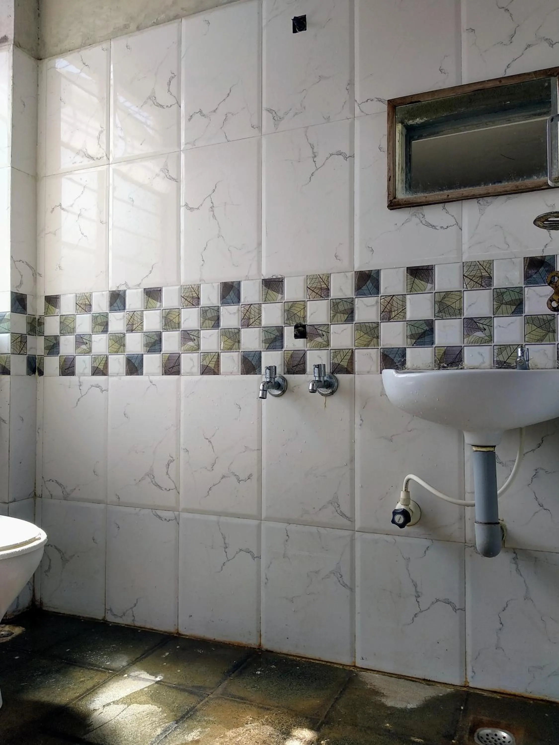 Hotel Ashwini Lodge