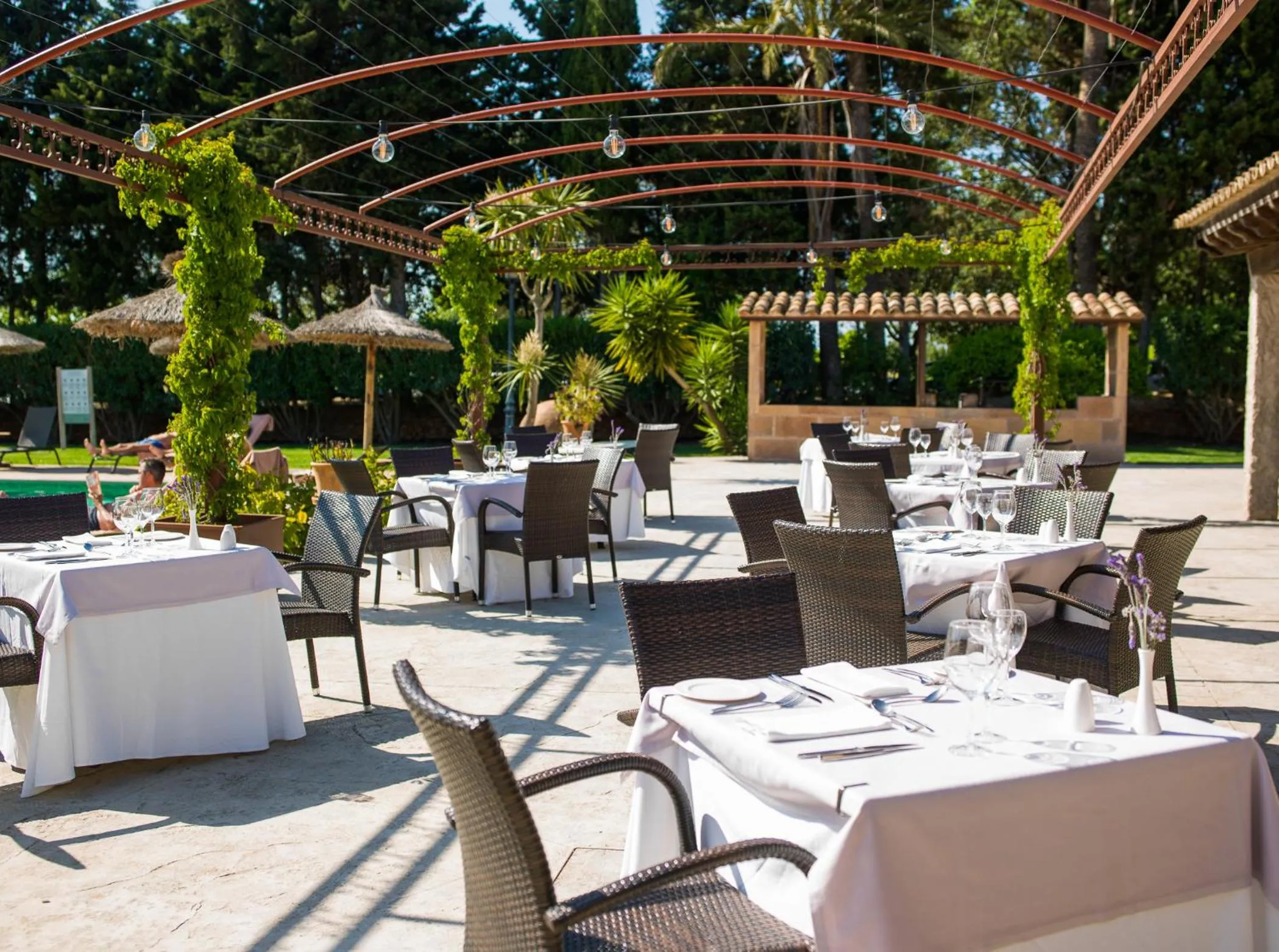 BBQ facilities in Sa Bassa Rotja Ecoturisme