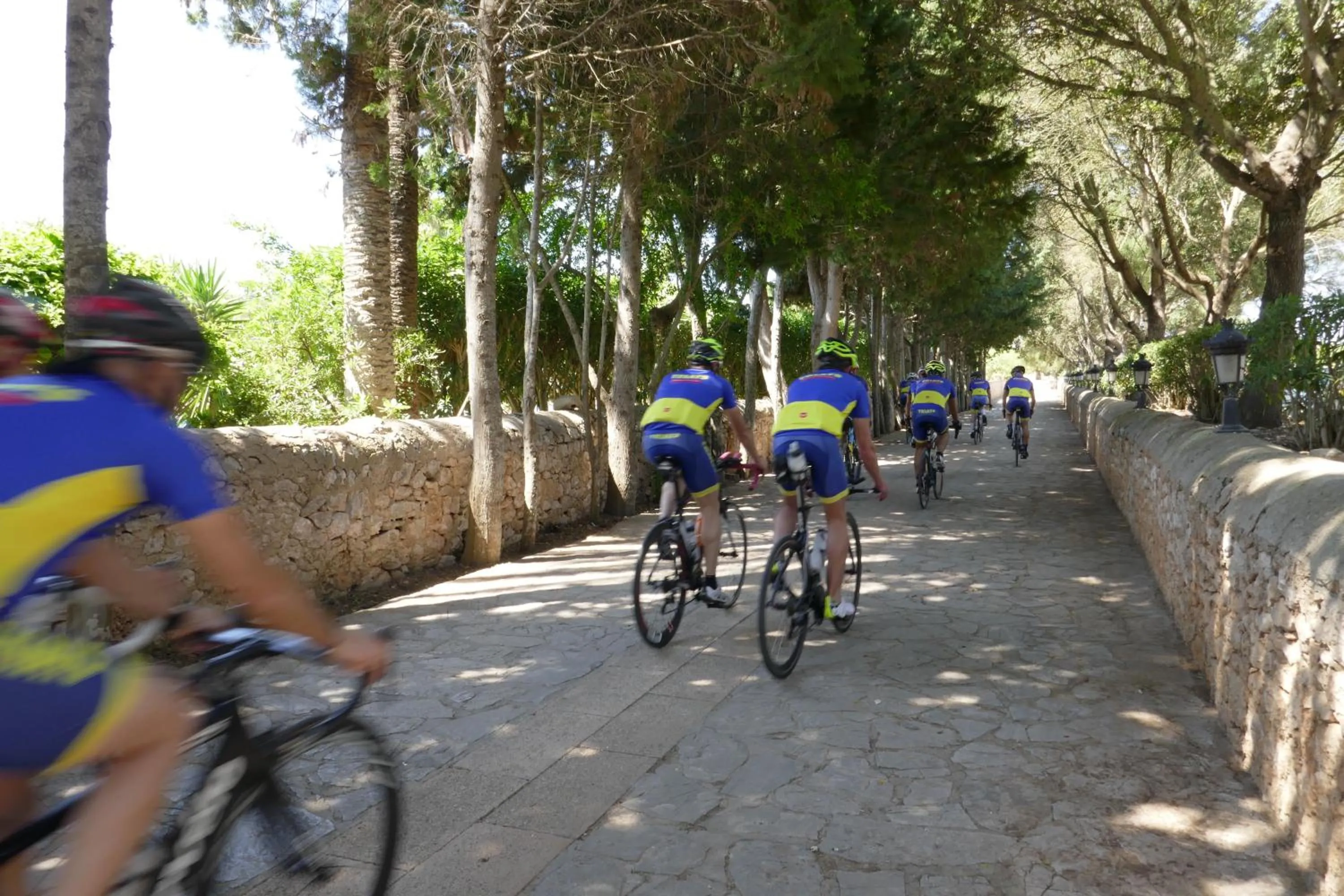 Cycling in Sa Bassa Rotja Ecoturisme
