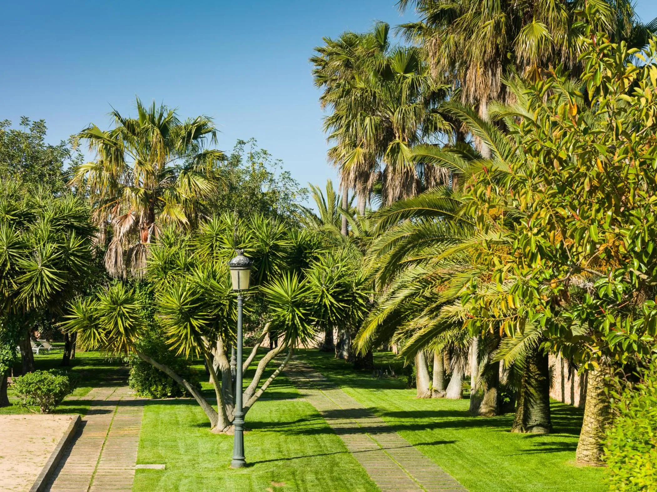 Natural landscape in Sa Bassa Rotja Ecoturisme