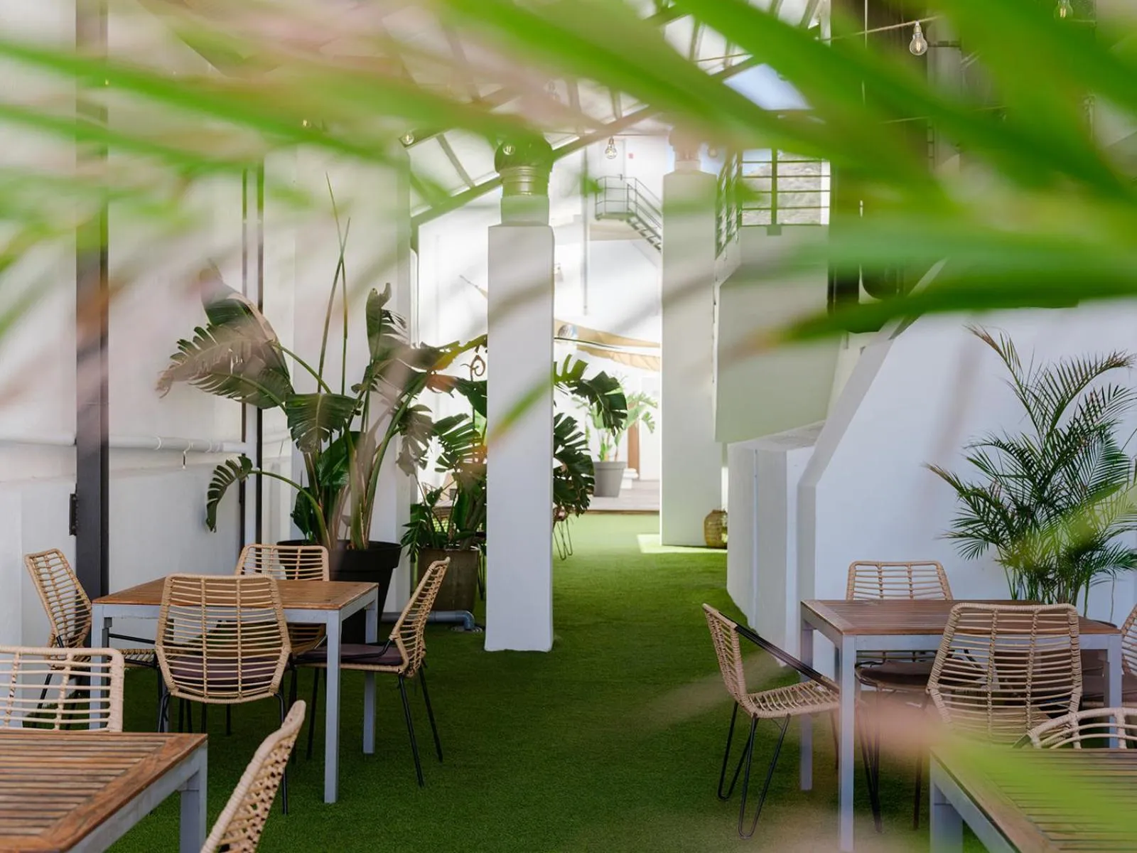 Balcony/Terrace in Hotel Taburiente S.C.Tenerife