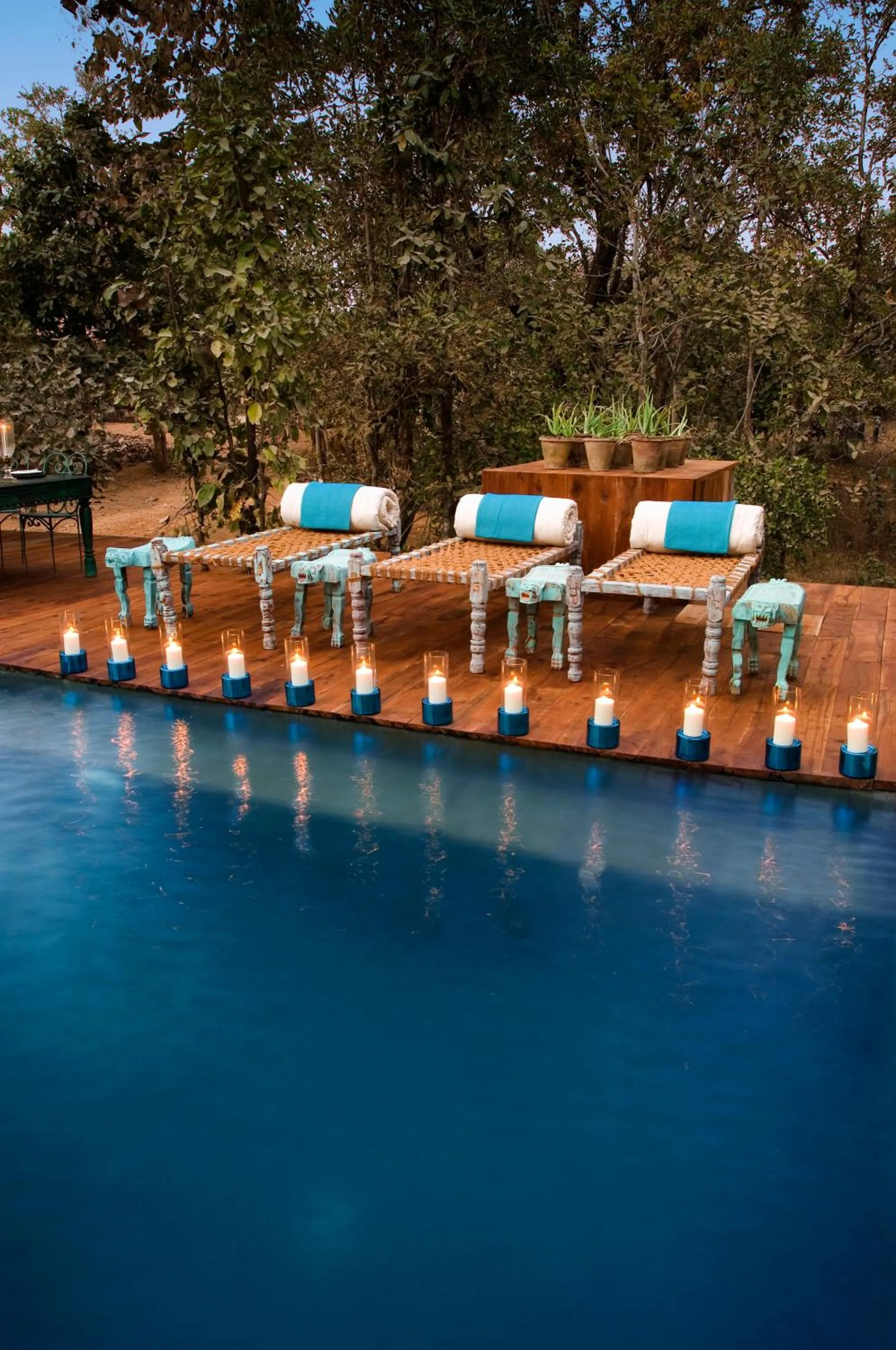Swimming pool in Baghvan Pench National Park - A Taj Safari Lodge