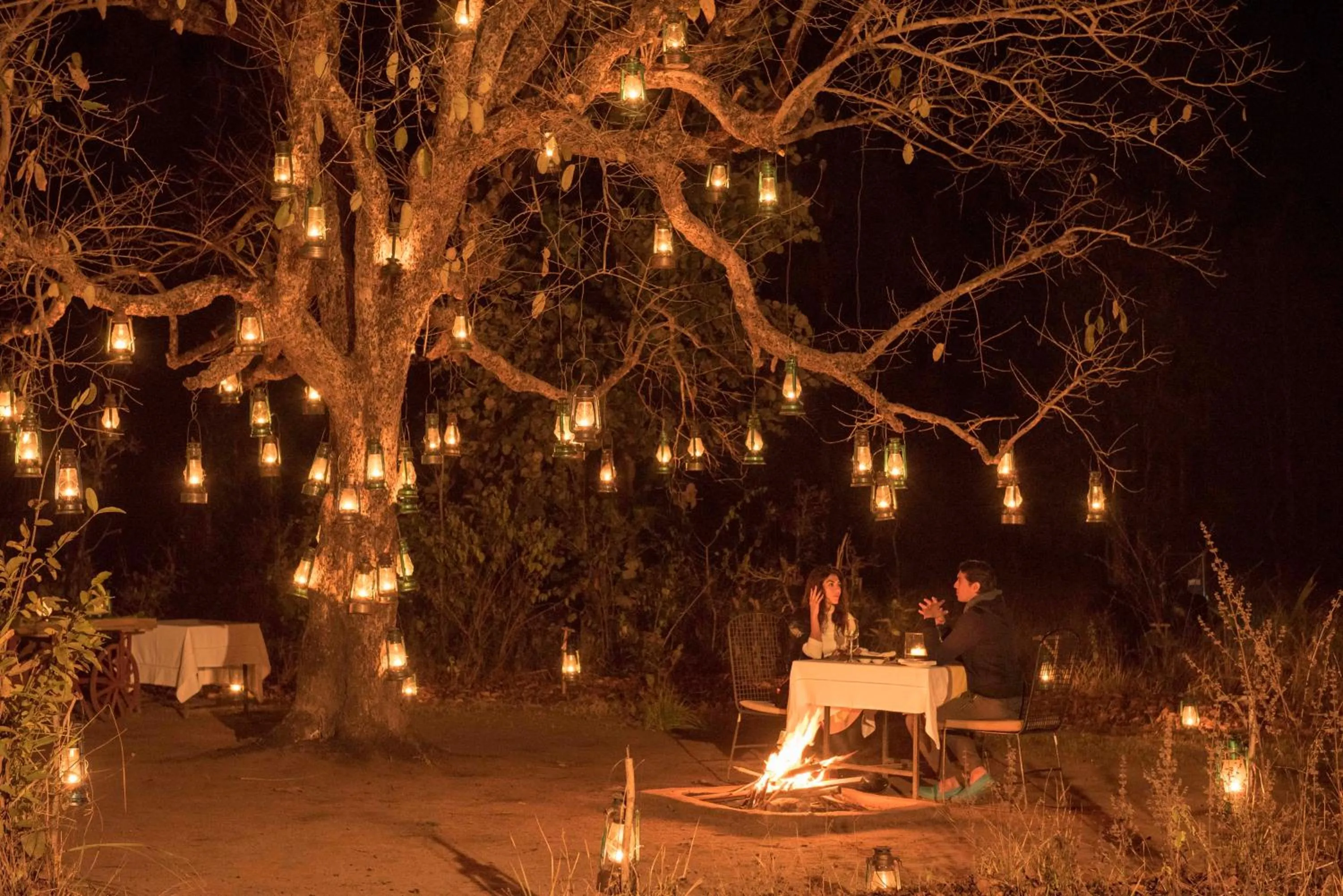 Night in Baghvan Pench National Park - A Taj Safari Lodge