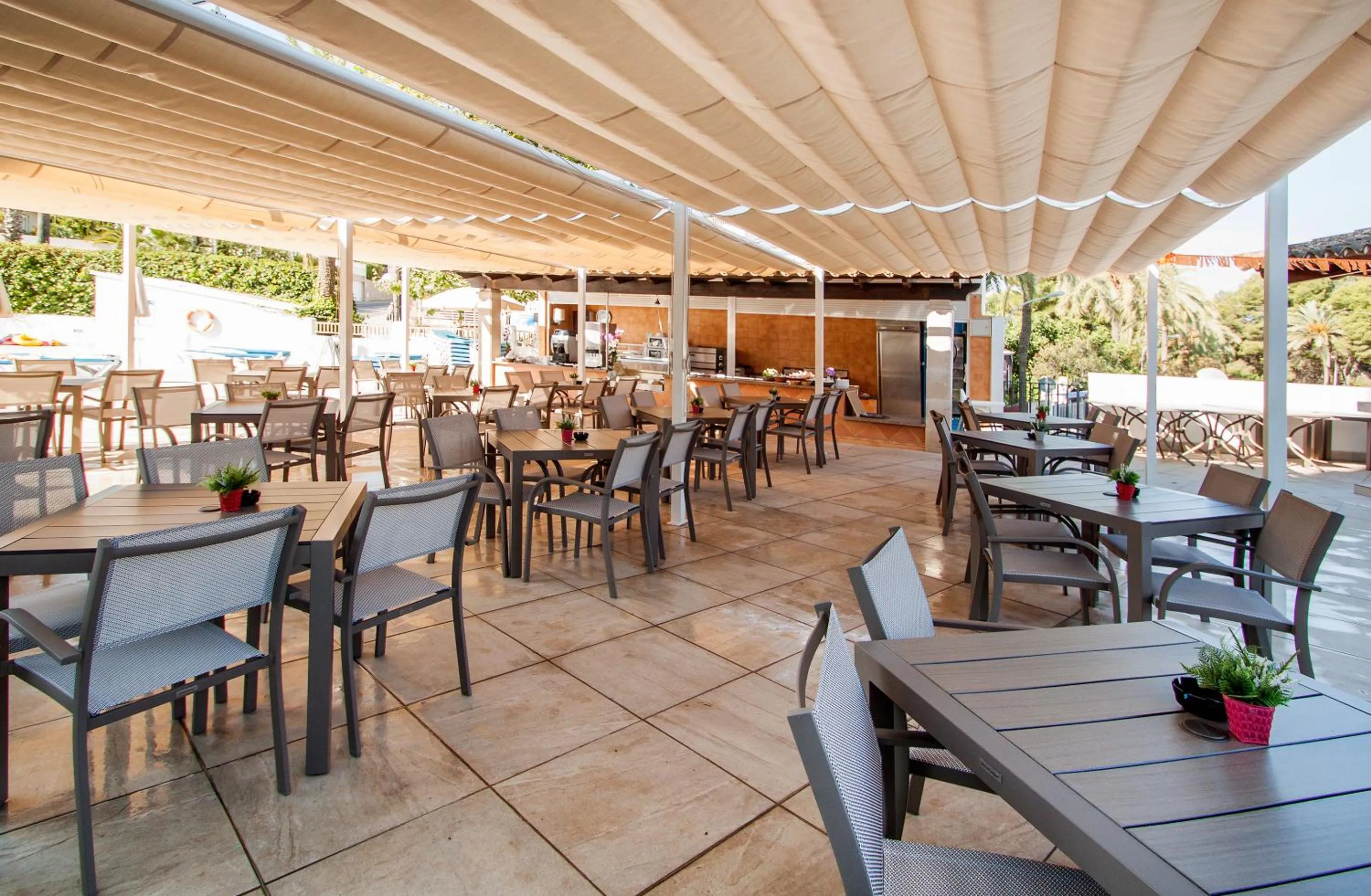 Restaurant/places to eat in Globales Costa de la Calma