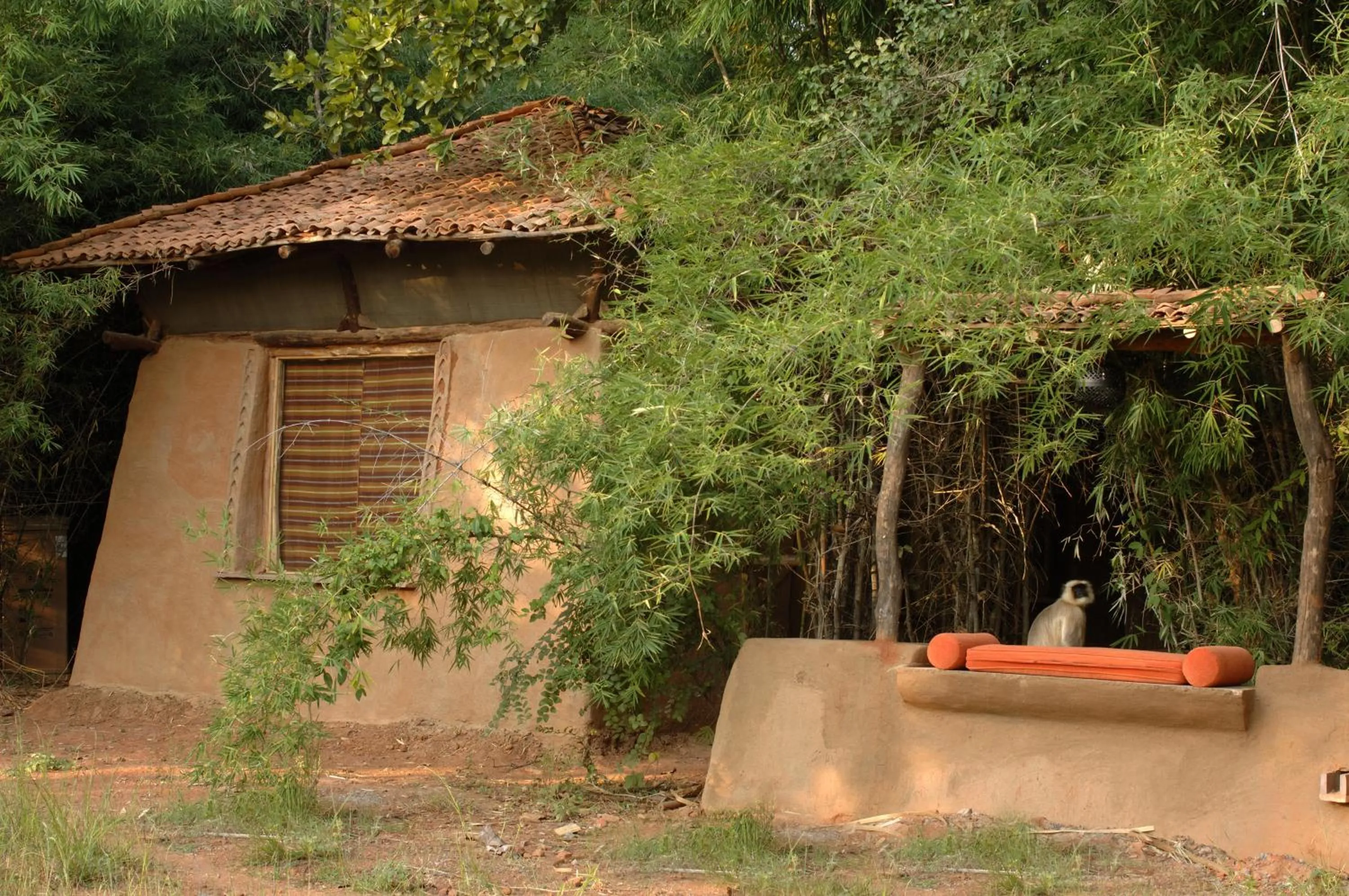 Property building in Mahua Kothi Bandhavgarh - A Taj Safari