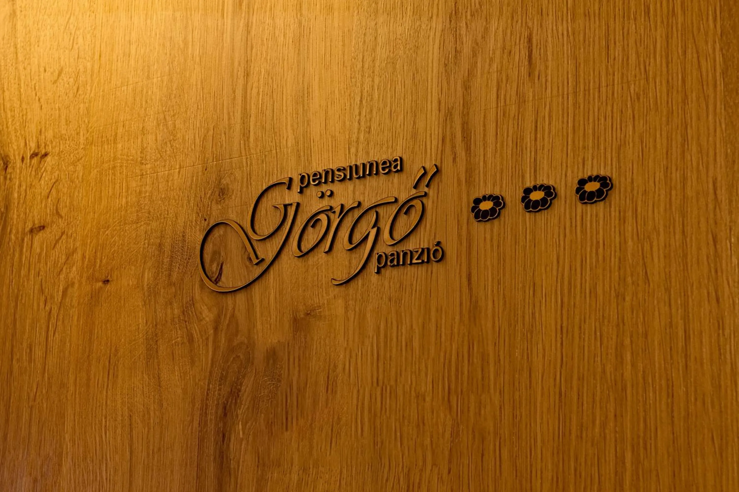 Pensiunea Görgő Panzió