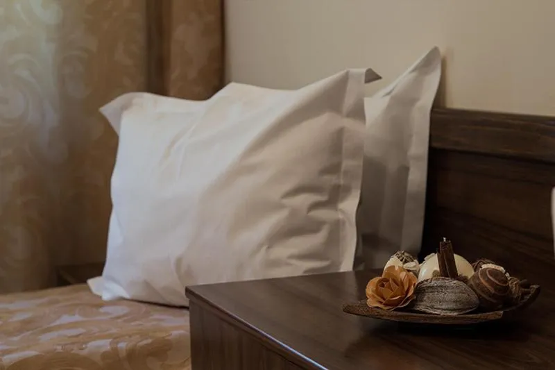 Bed in Pensiunea Görgő Panzió