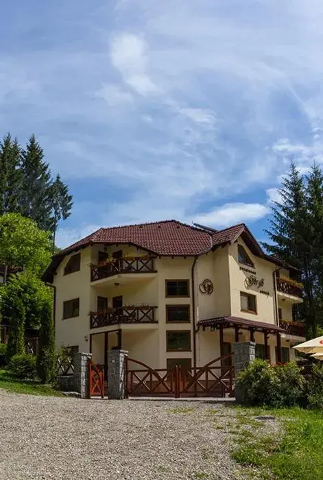 Pensiunea Görgő Panzió Pensiunea Görgő Panzió