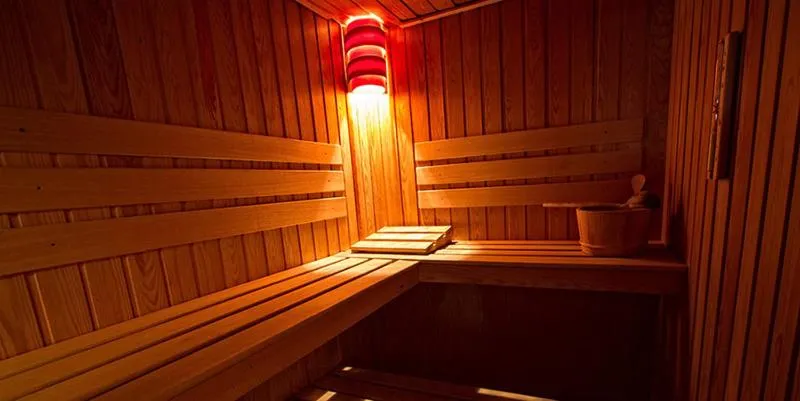 Sauna in Pensiunea Görgő Panzió
