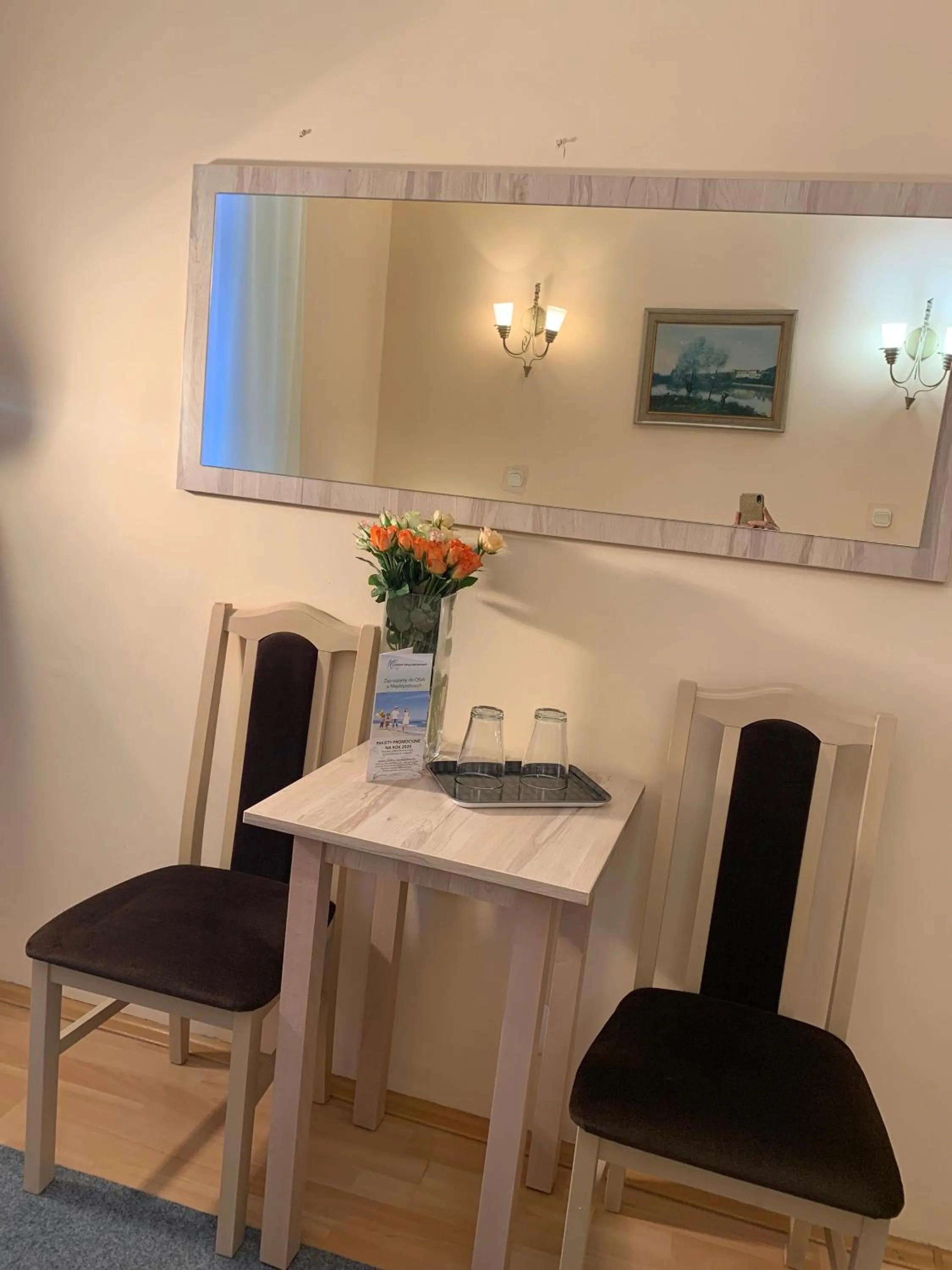 TV and multimedia in OW Meduza i Biala Mewa