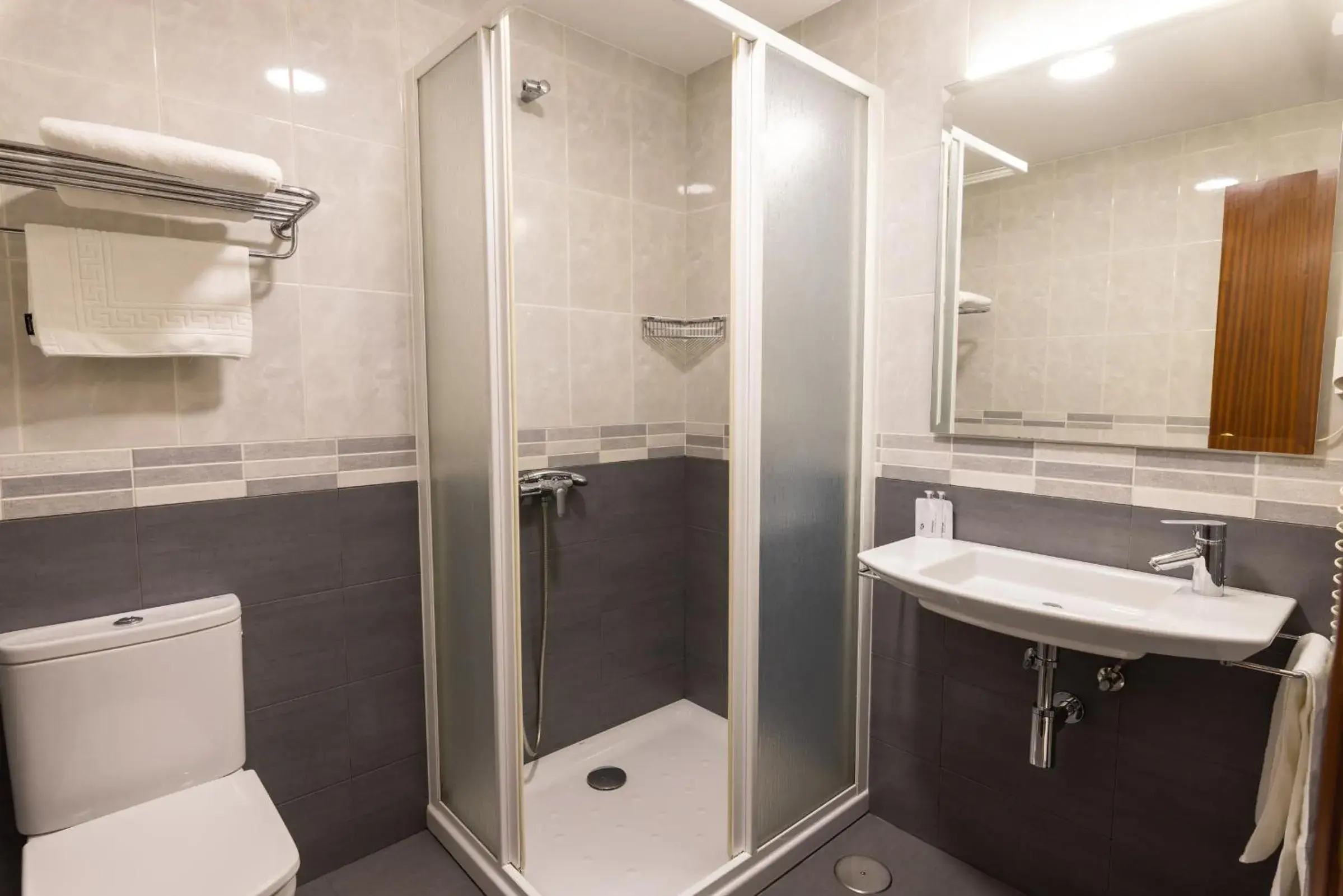 Basic Double Room with Double Bed in Hotel Europa Basic Double Room with Double Bed in Hotel Europa