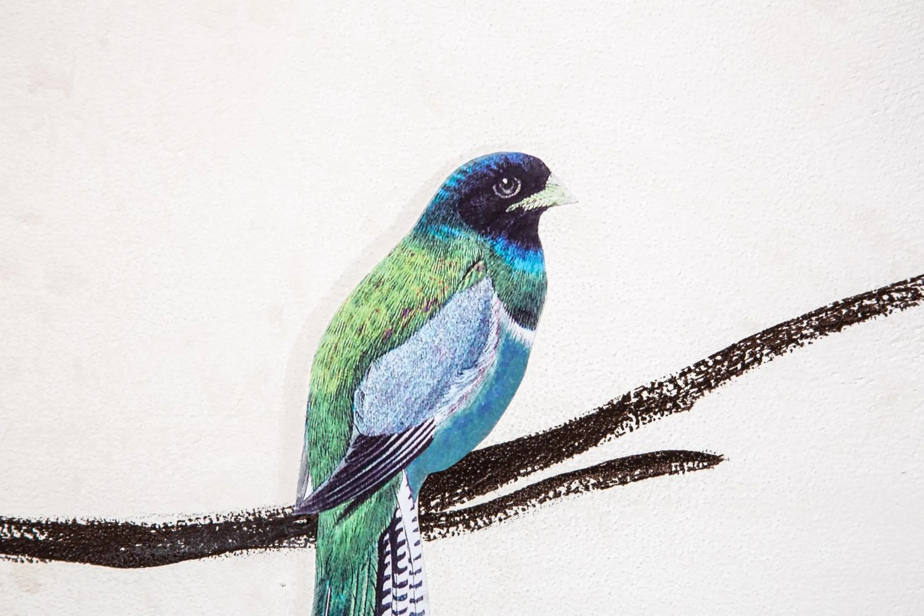 Decorative detail in Palazzo Conti Camere & Suites