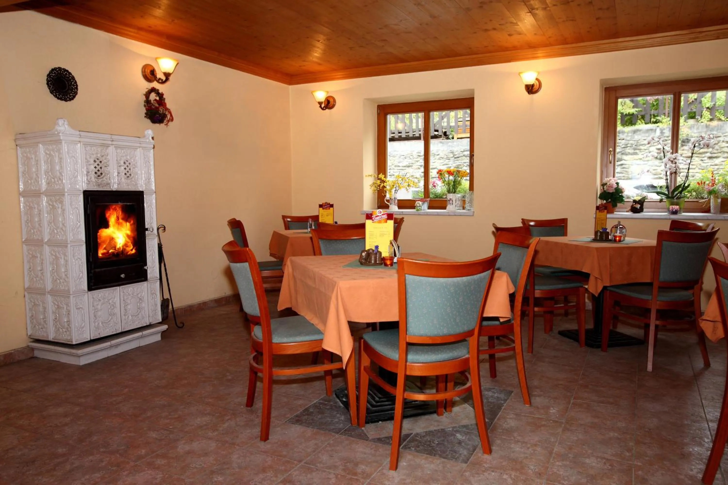 Double or Twin Room - single occupancy in Penzion Alfa