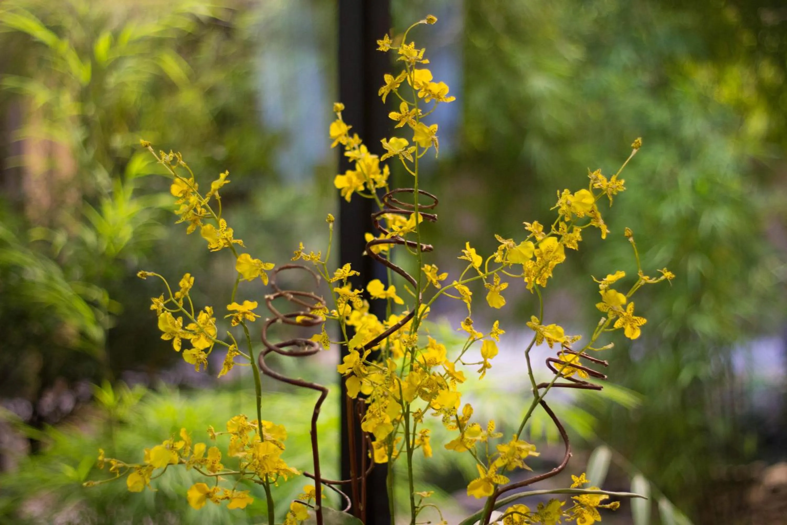 Decorative detail in Hotel Nikko