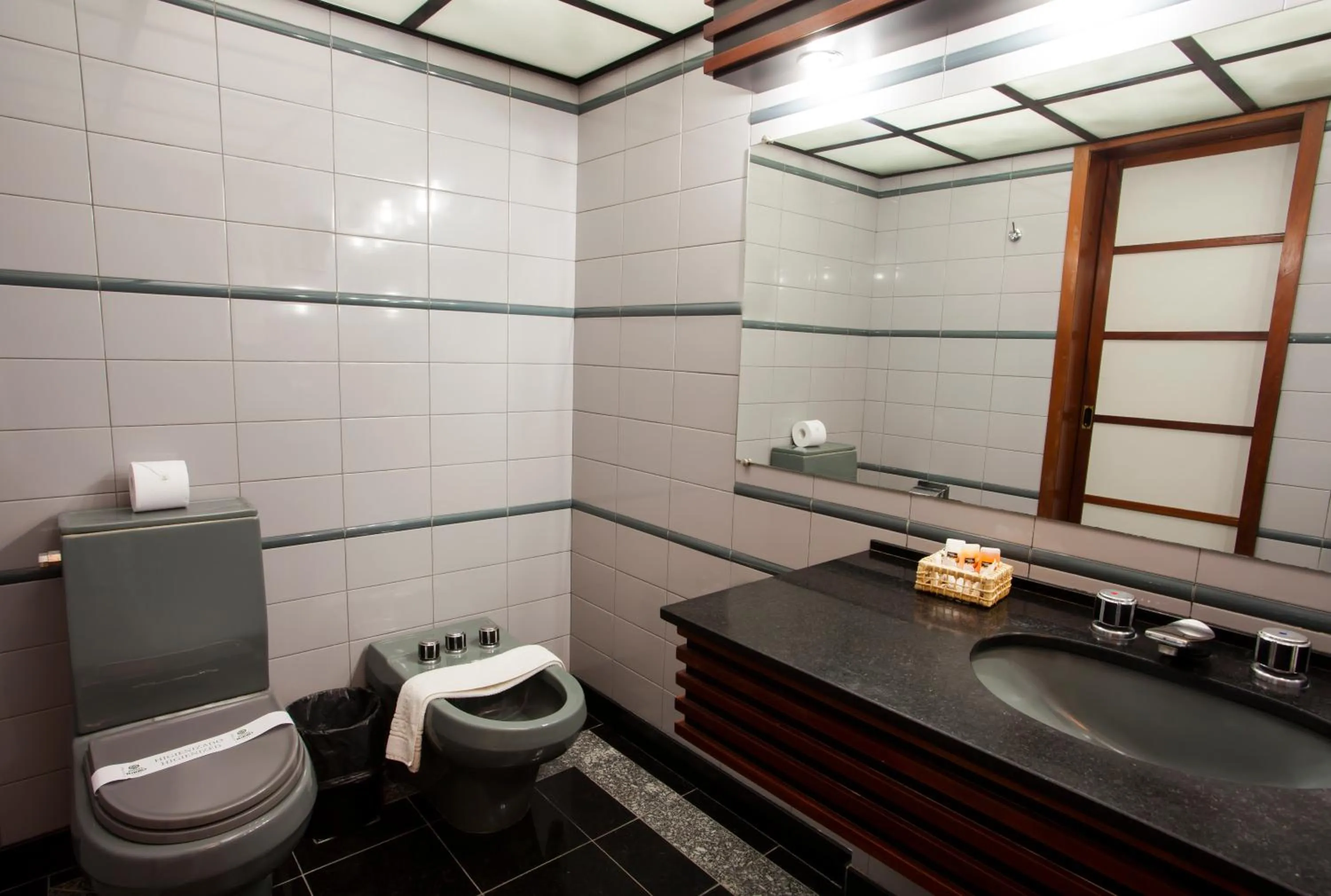 Bathroom in Hotel Nikko