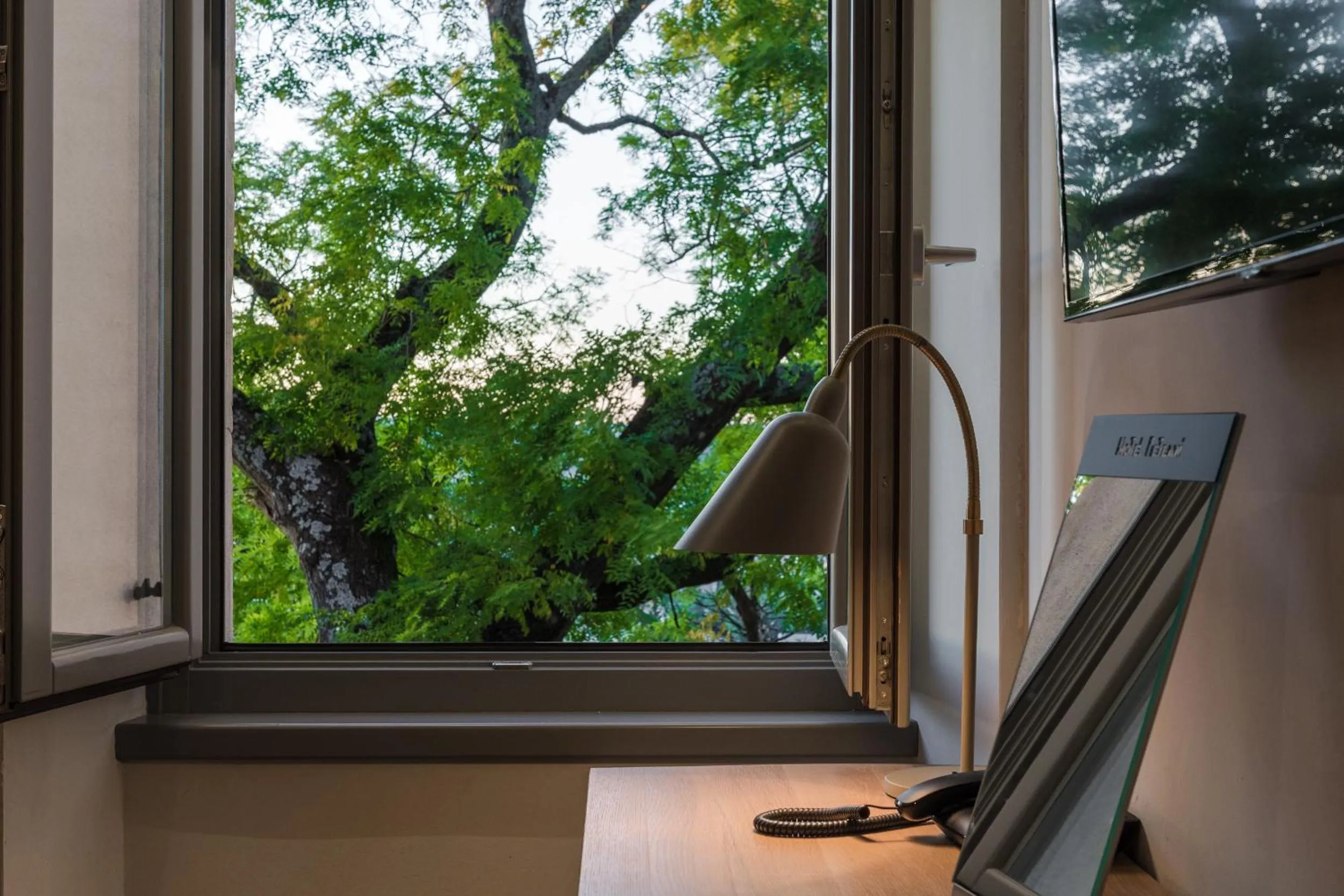 Garden view in Hotel Peteani