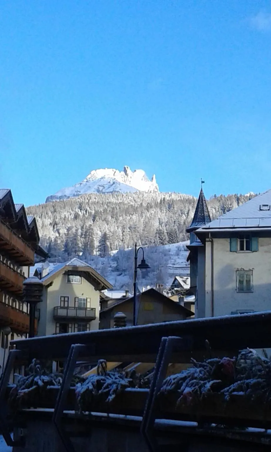 Natural landscape in Hotel Moena