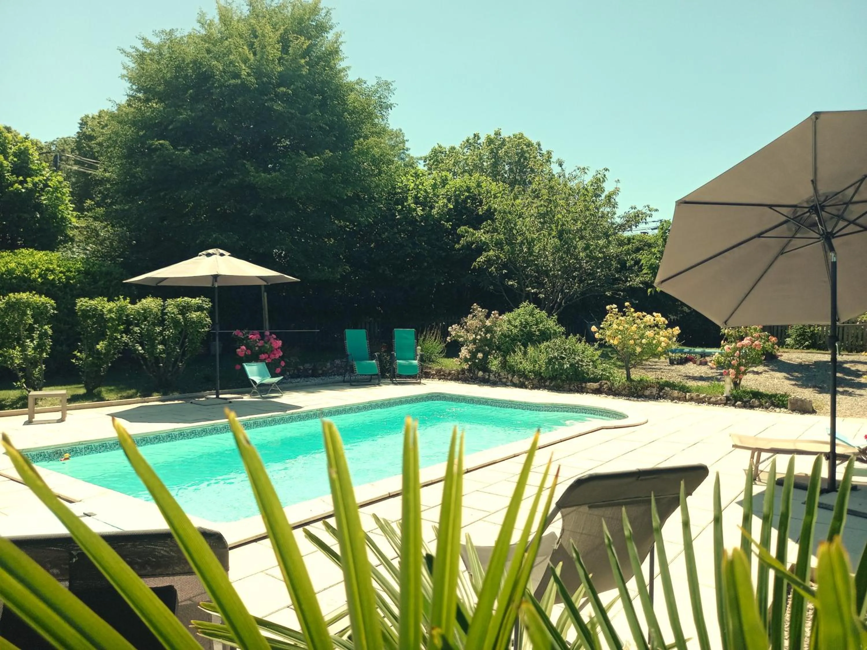 Swimming pool in Au pays de Jacquou : Chambre d’hôtes et table d’hôtes