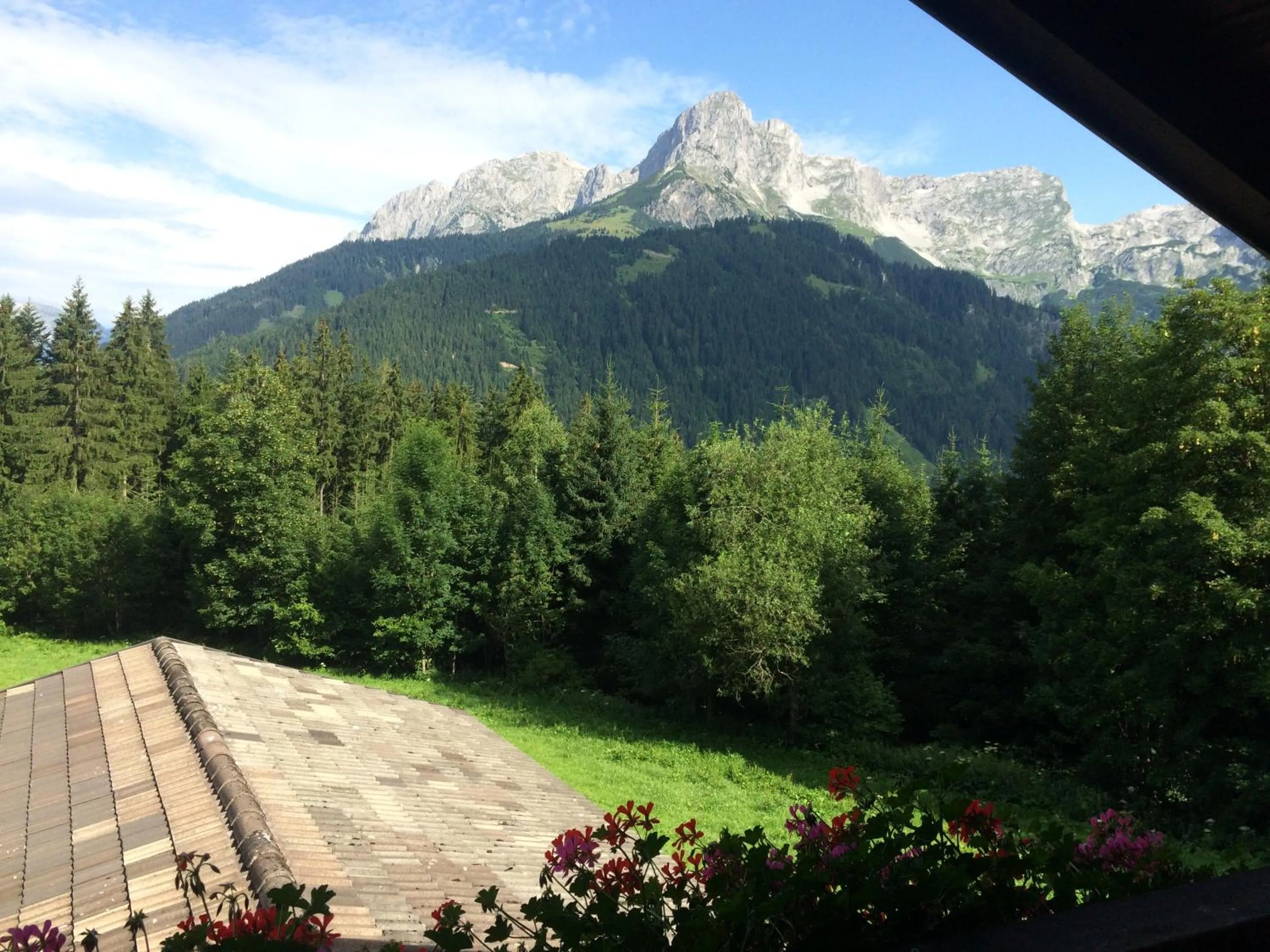 Natural landscape in Gasthof Tennenblick