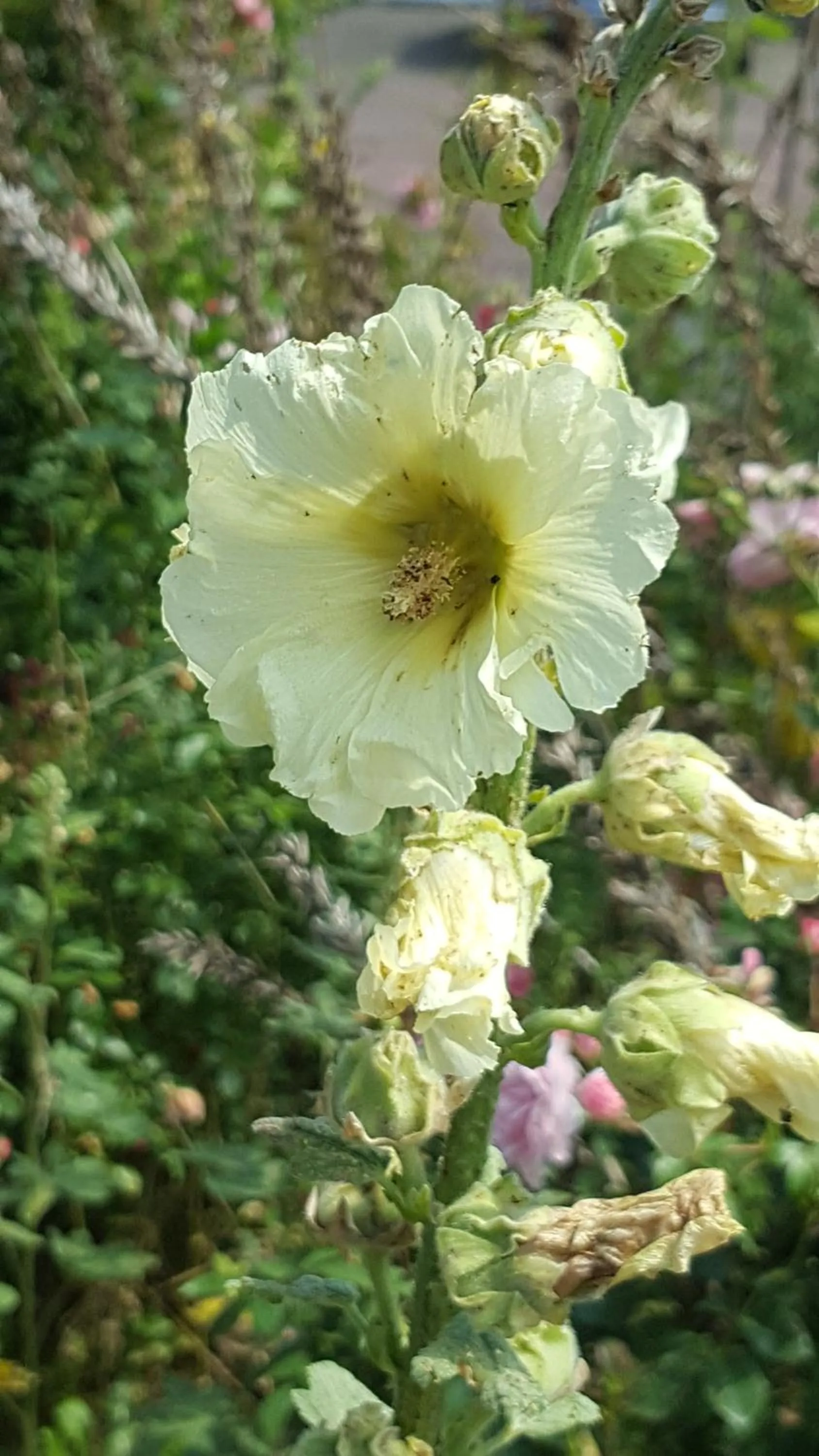 Other in JamieK's BnB