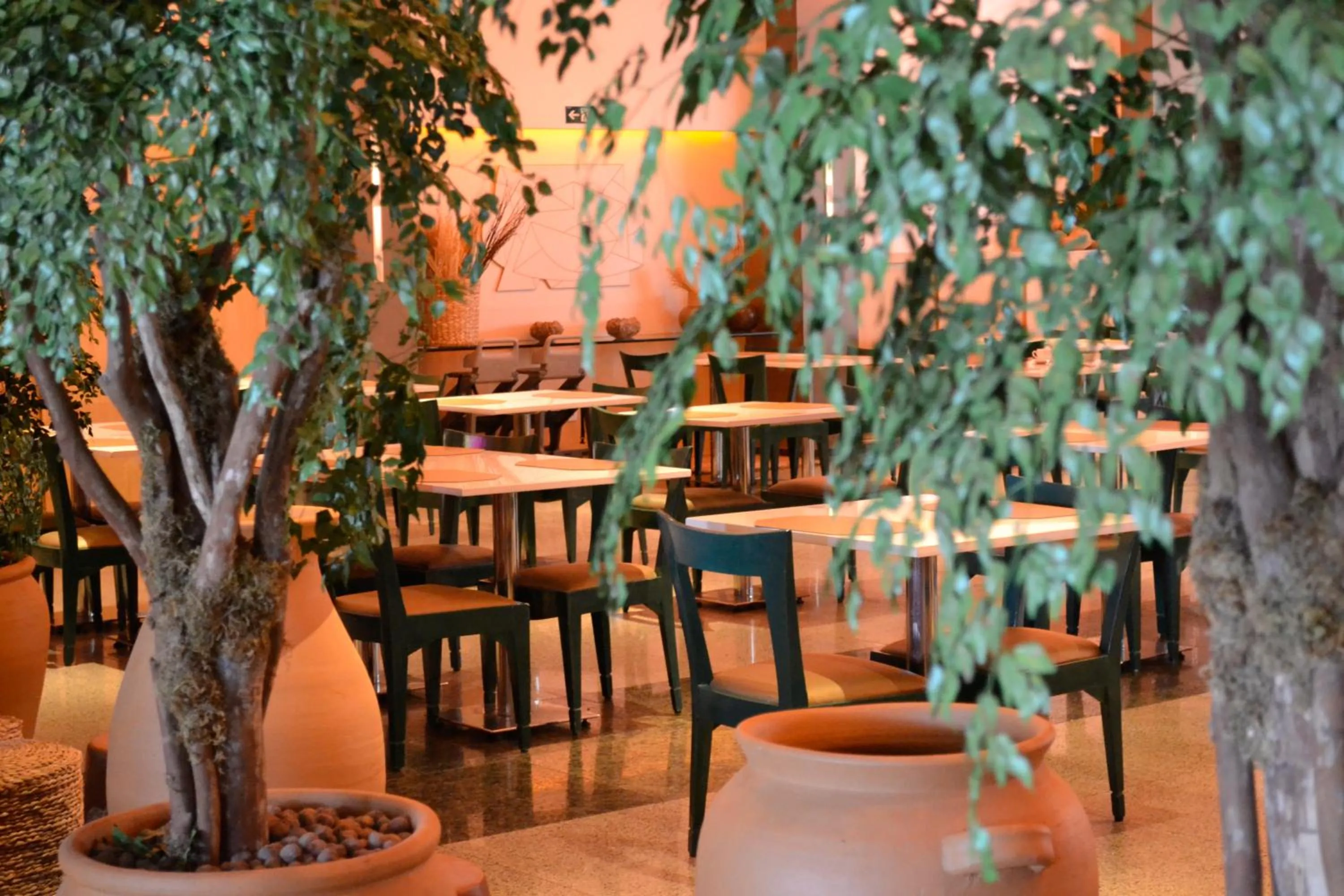 Restaurant/places to eat in Seara Praia Hotel