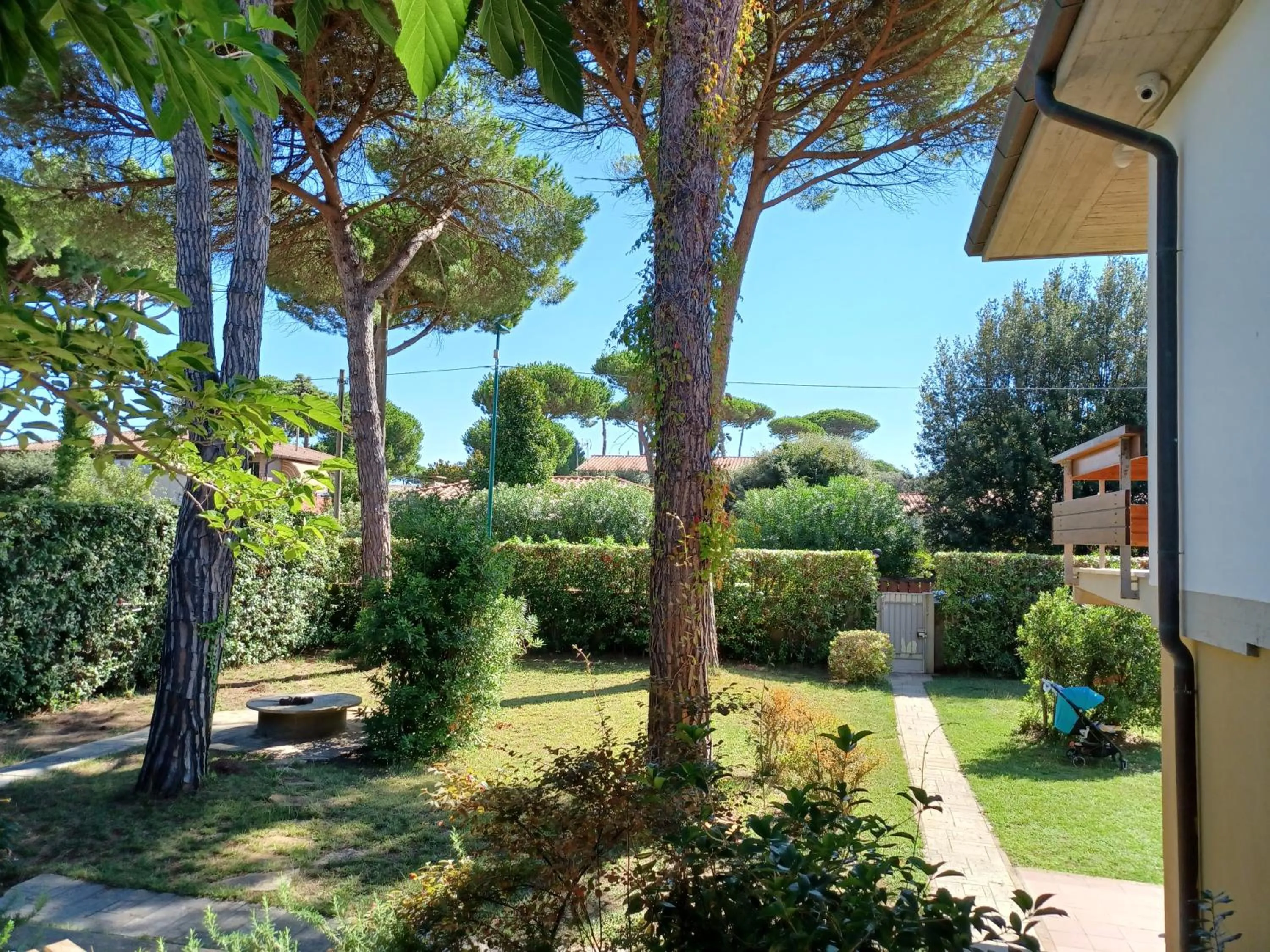 Garden in Comfort Zone