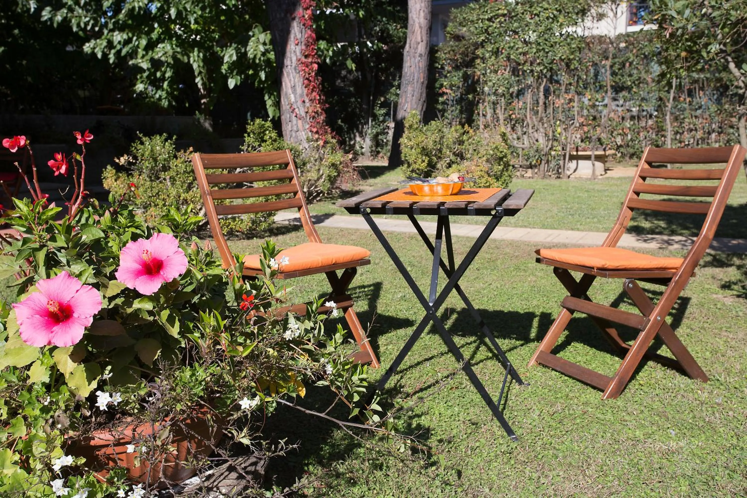 Garden view in Comfort Zone