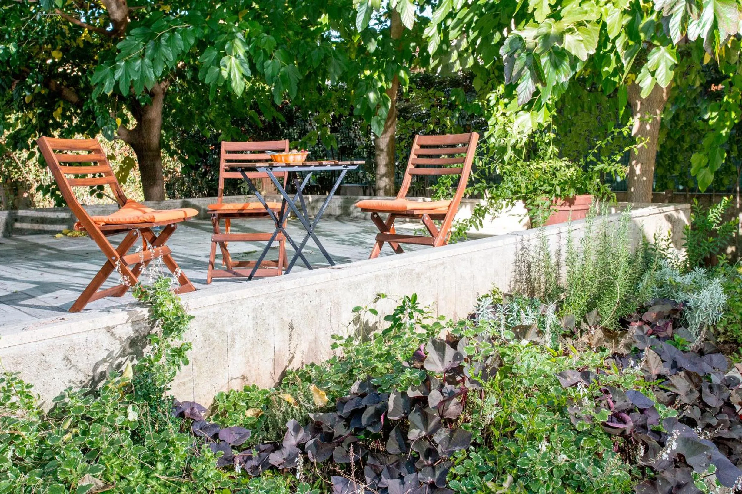 Garden view in Comfort Zone