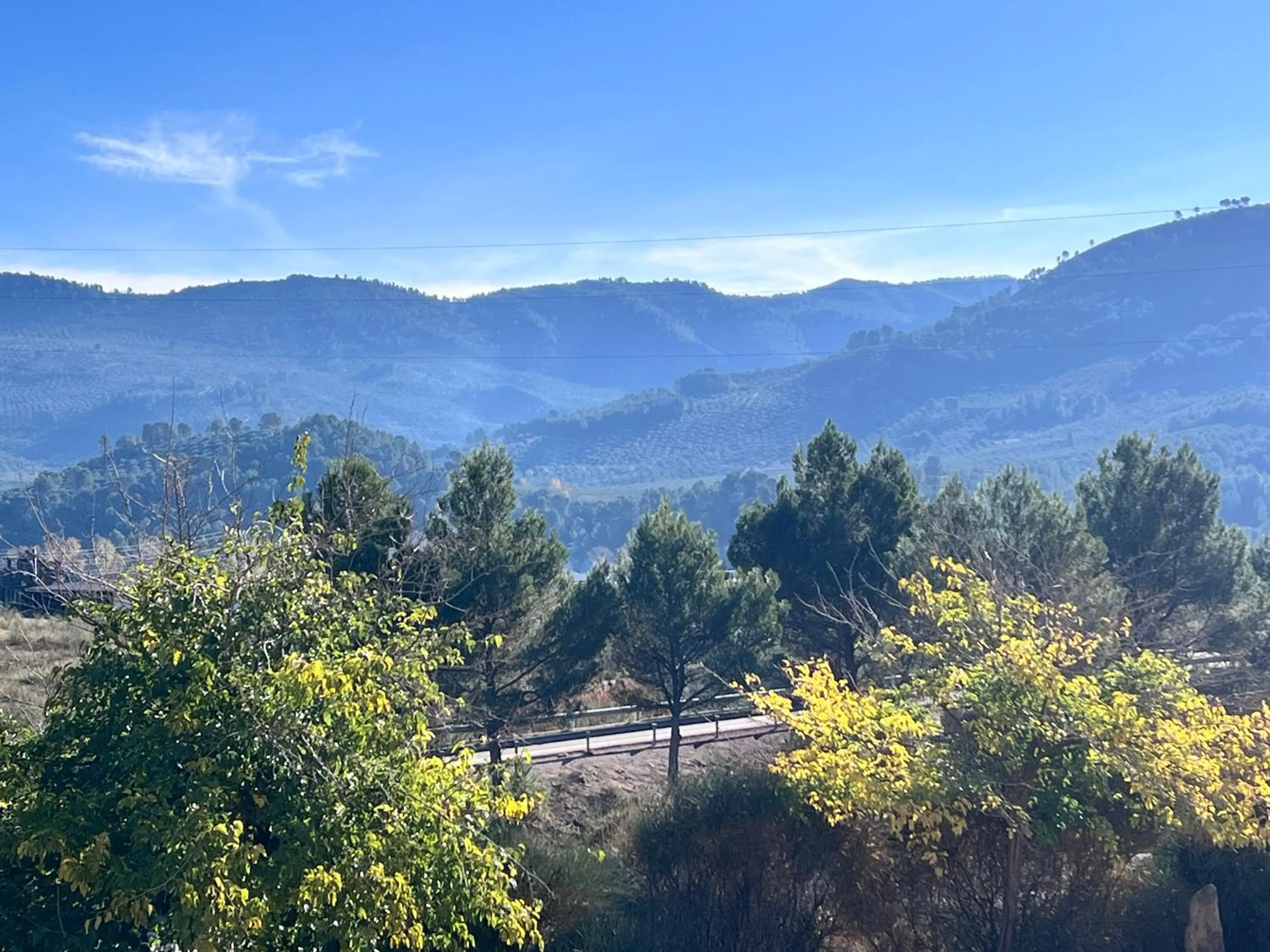 Garden view in Hotel Don Juan