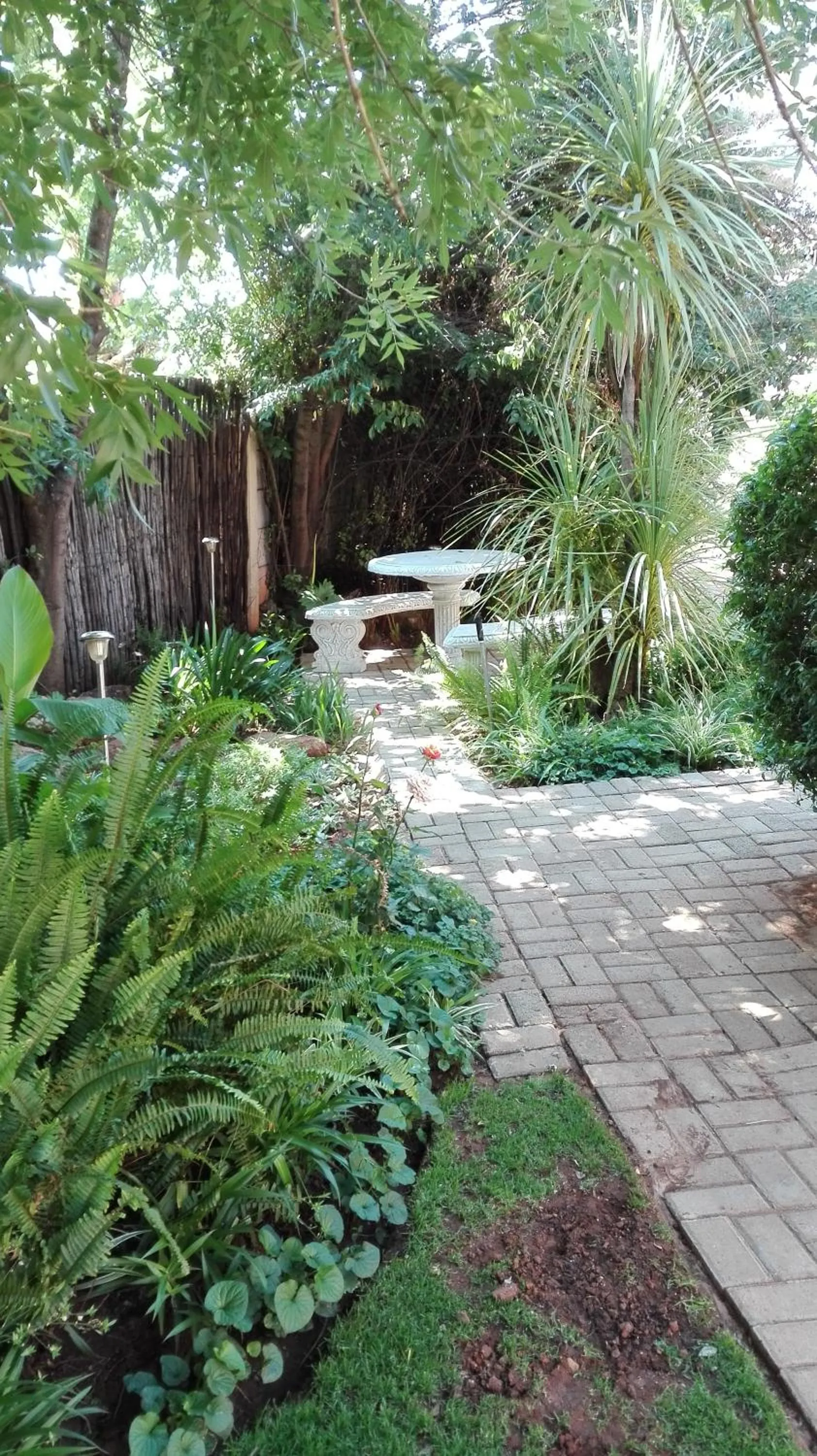 Garden view in Ukarimu Guest House