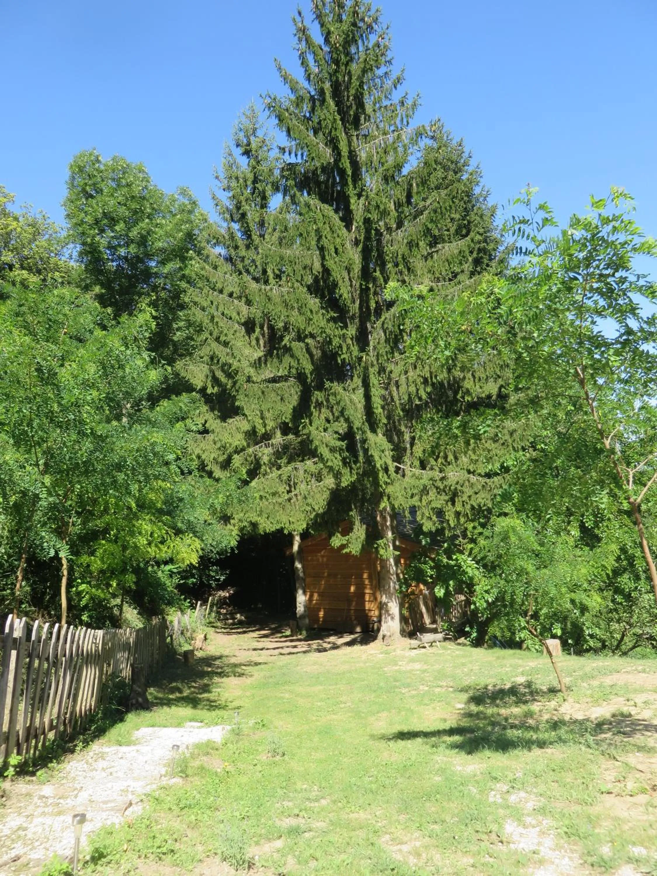 Day in La Cabane aux Sapins