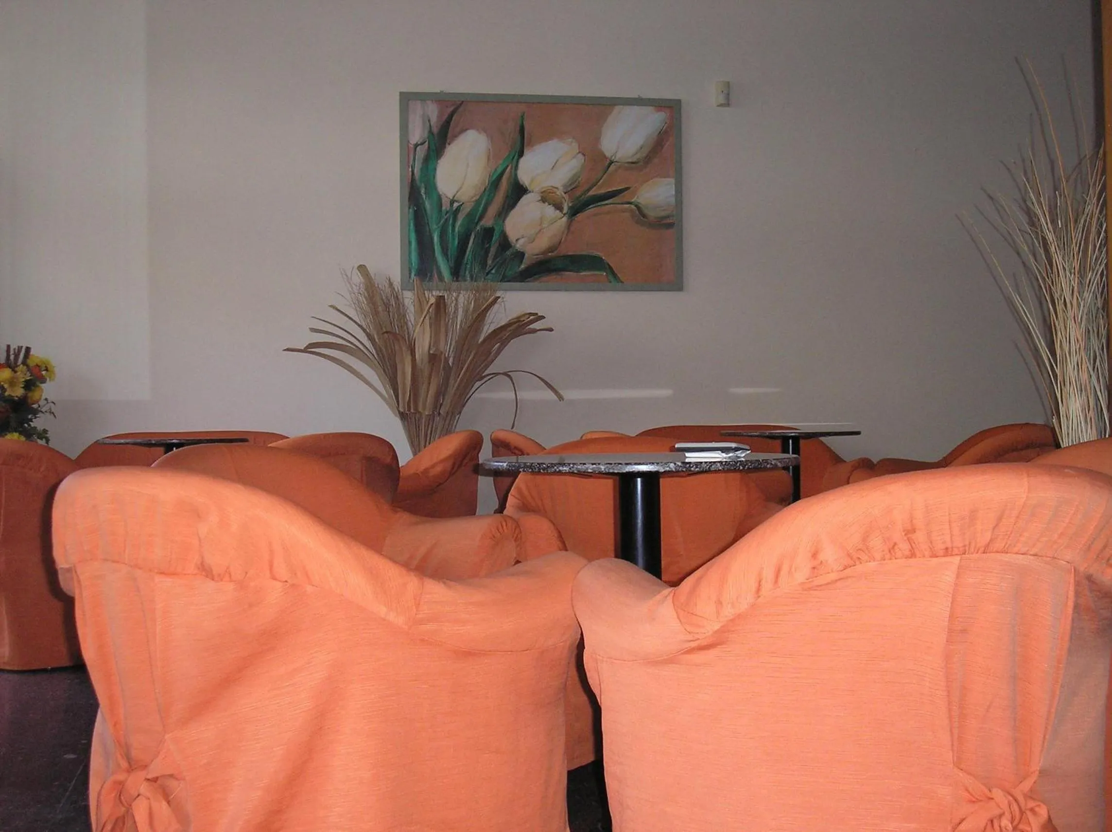 Communal lounge/ TV room in Hotel Playa