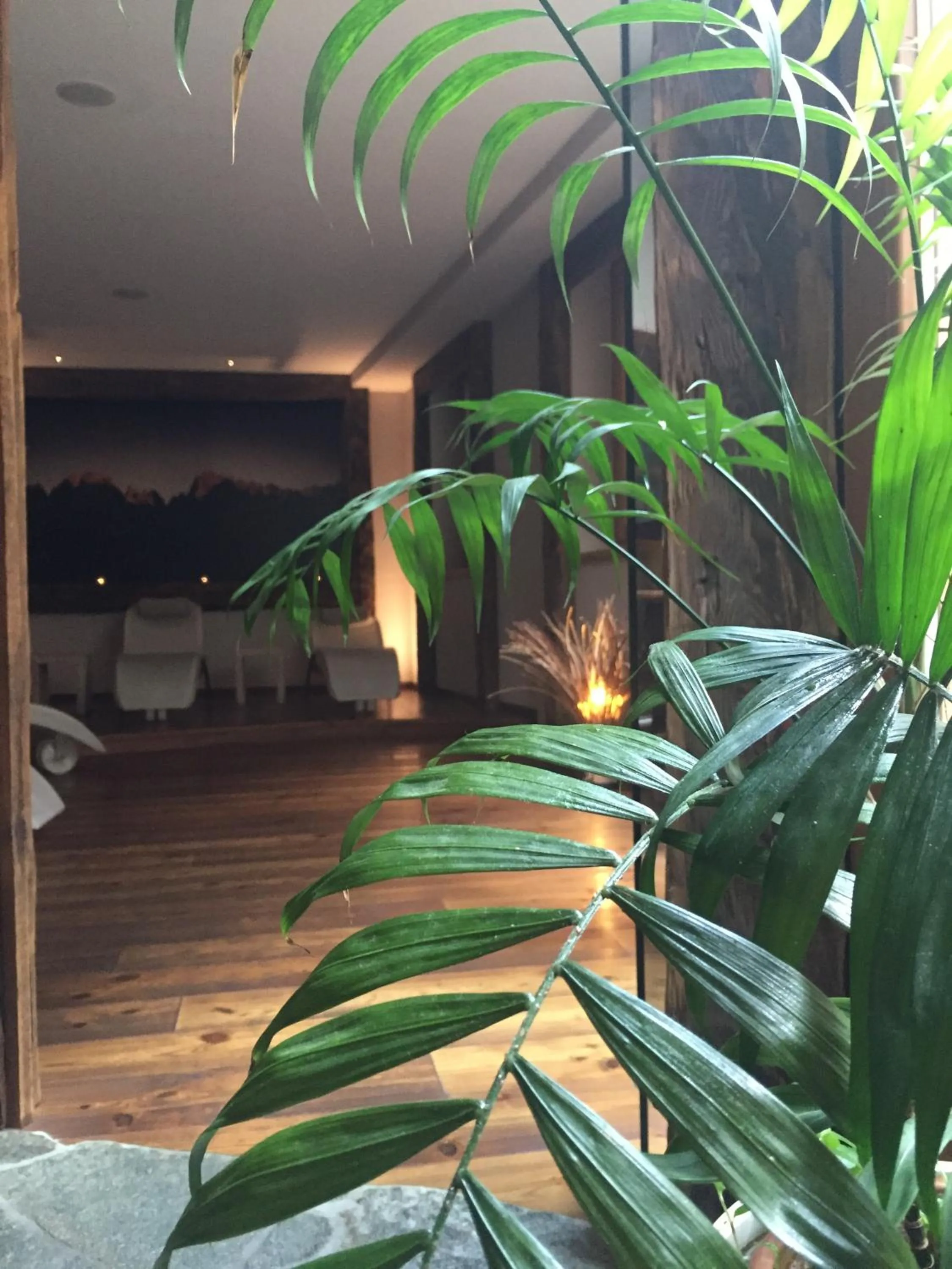 Massage in Maribel Hotel