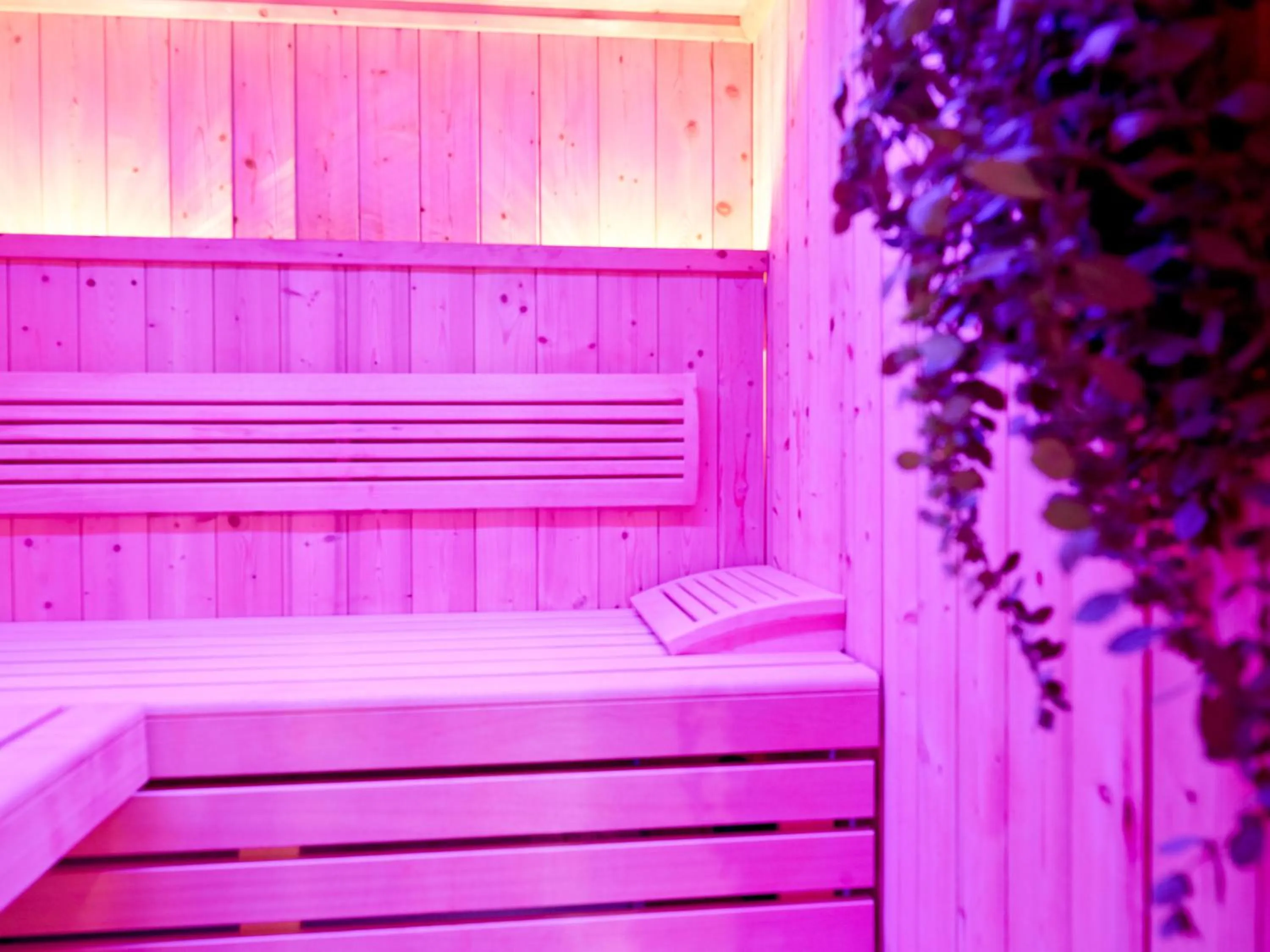 Sauna in Landhotel Geyer