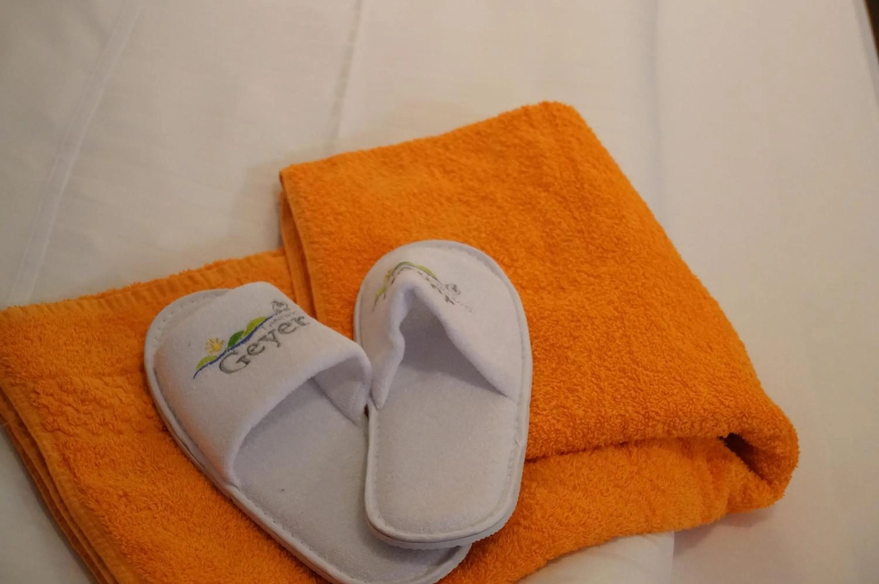 Property logo or sign in Landhotel Geyer