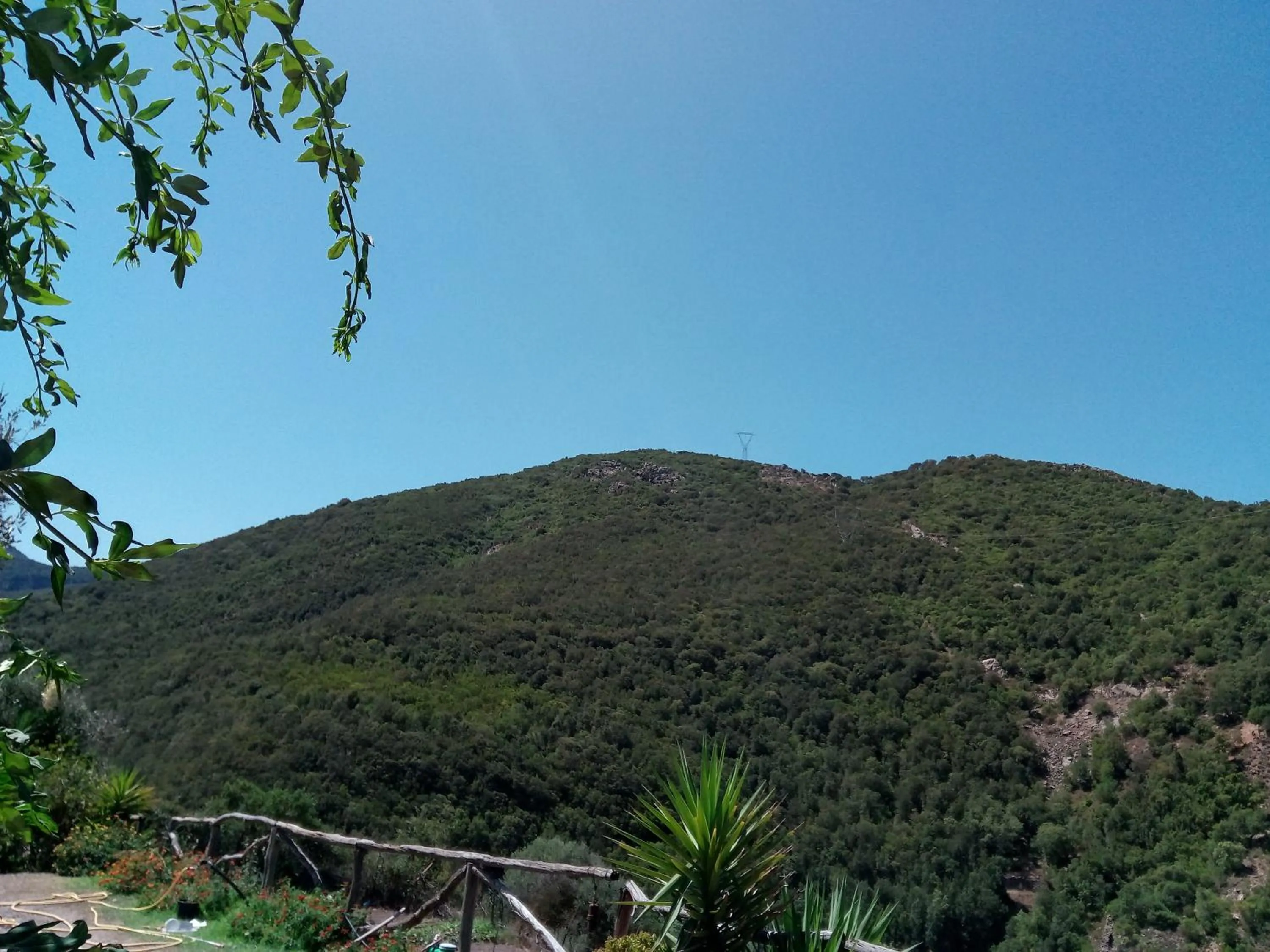 Property building in Sa Perda Lada
