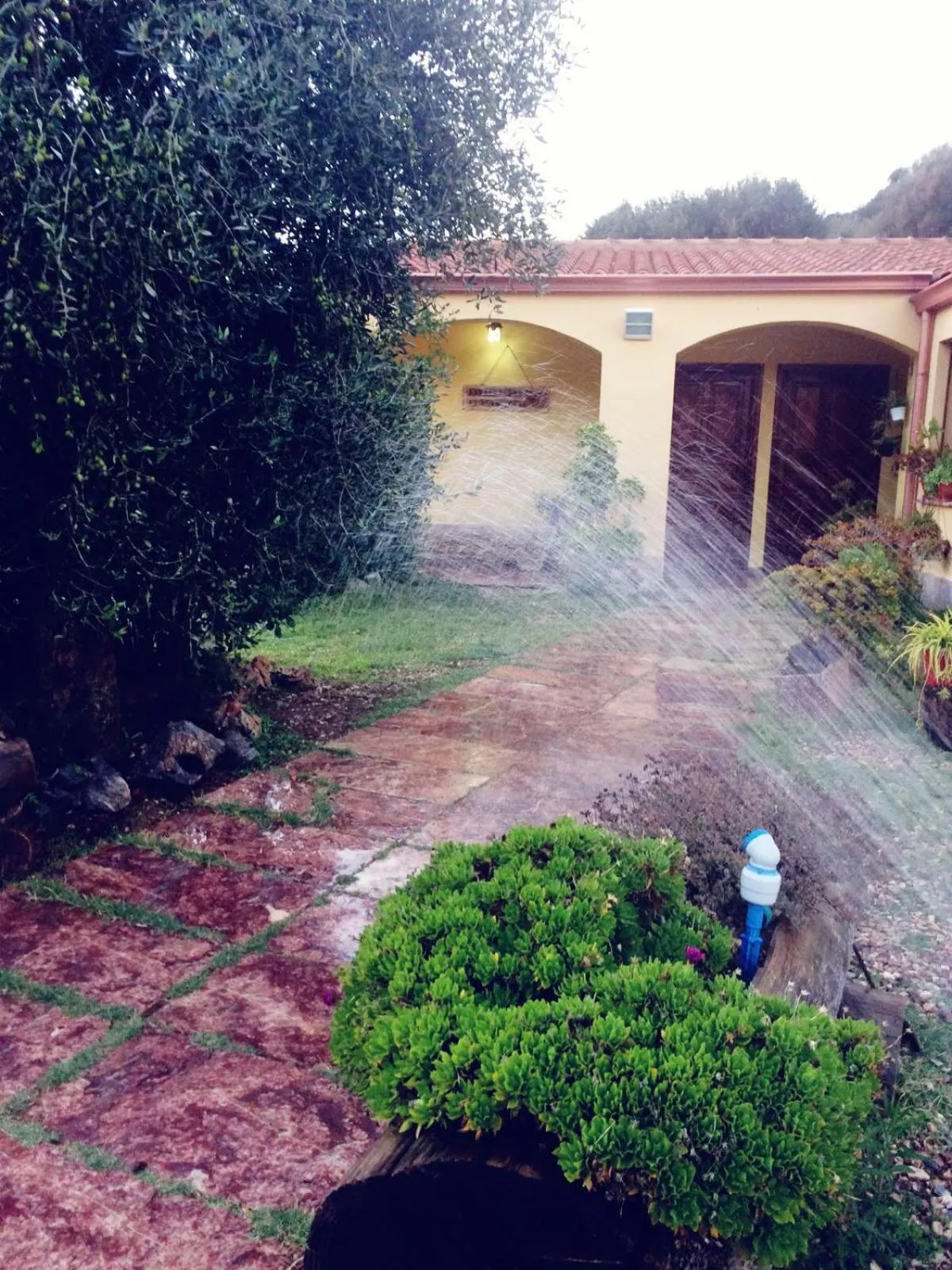 Property building in Sa Perda Lada