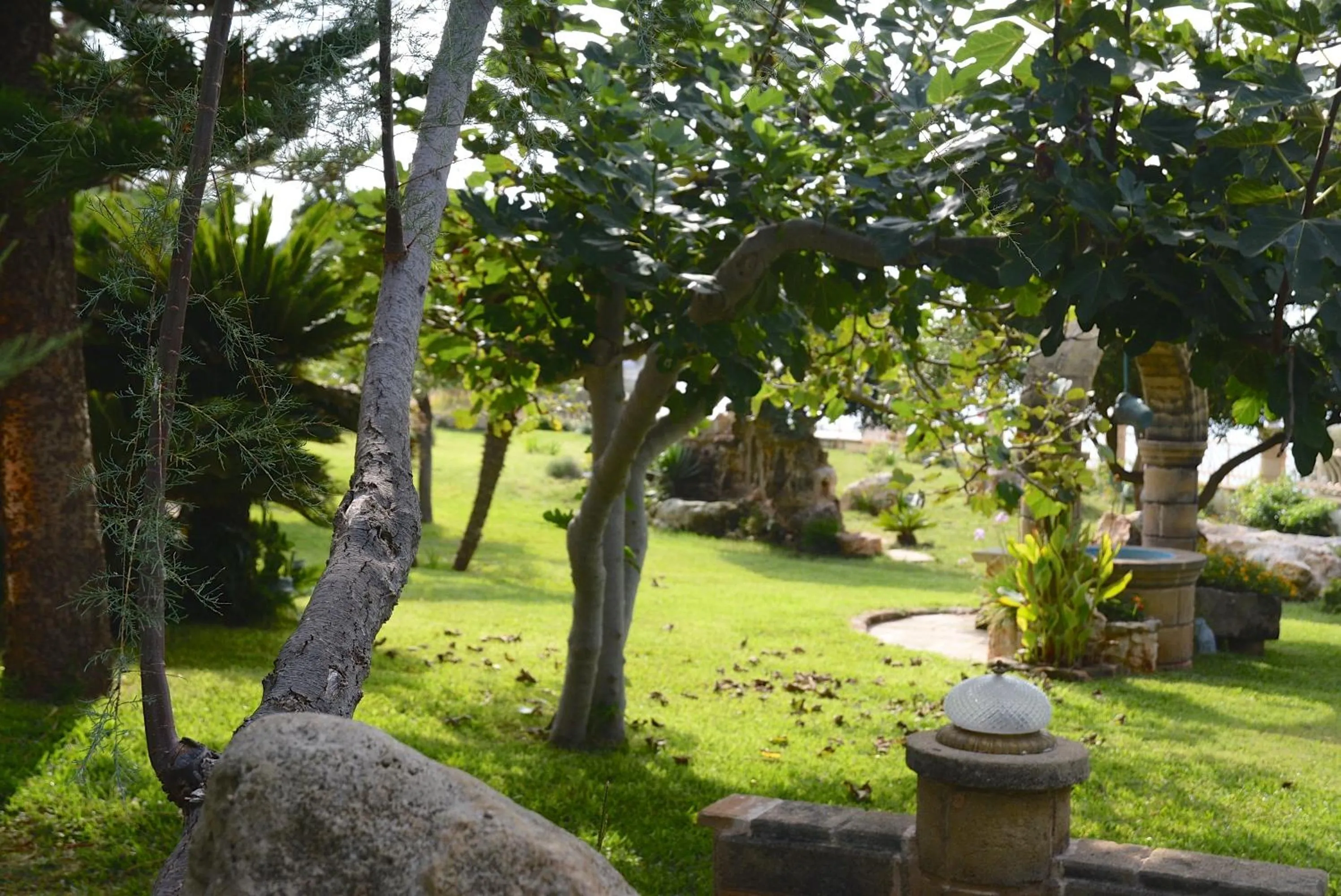 Garden in Parco dei Principi - Resort & Spa