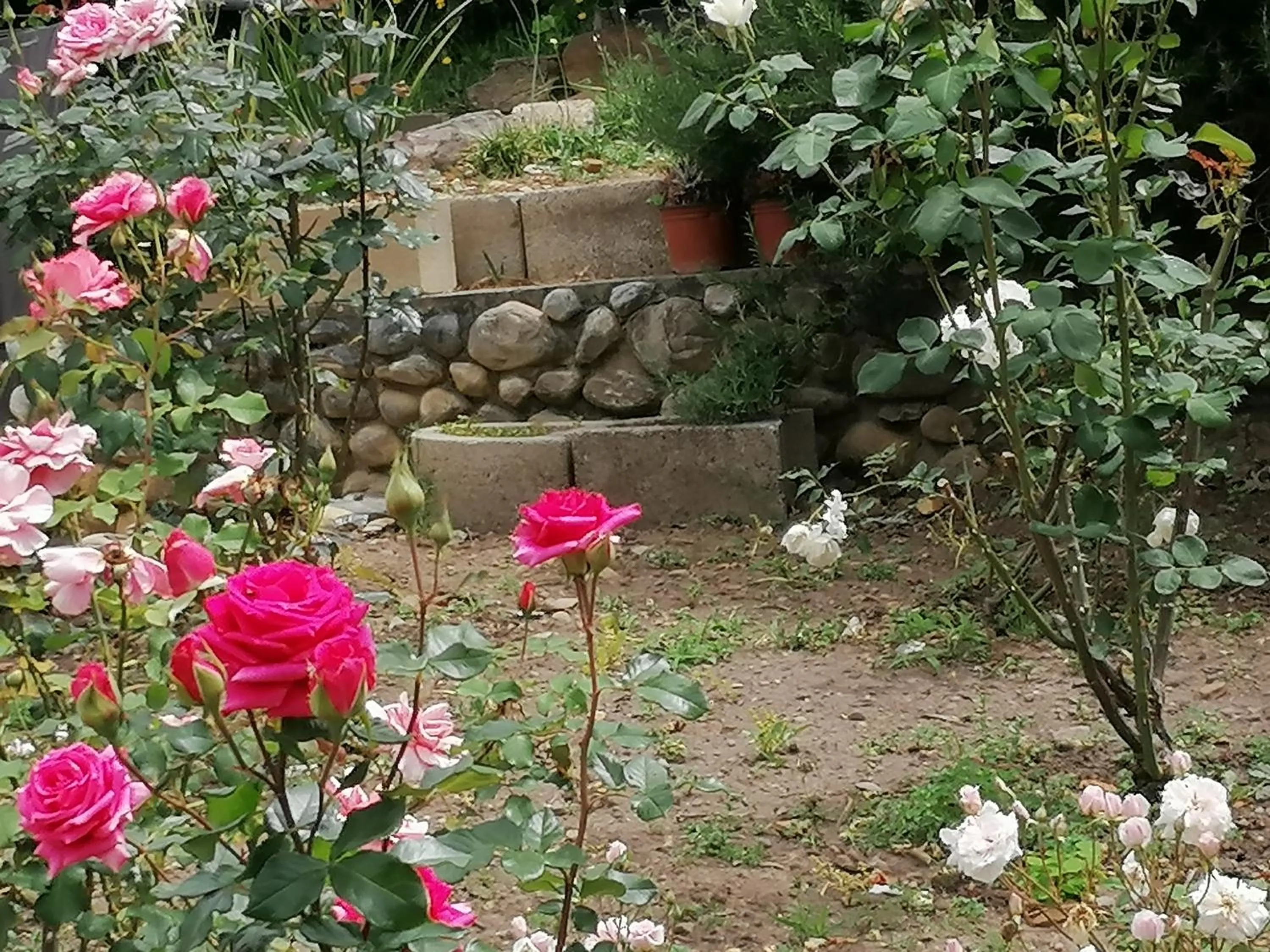 Garden in Aanhuizen Guest House