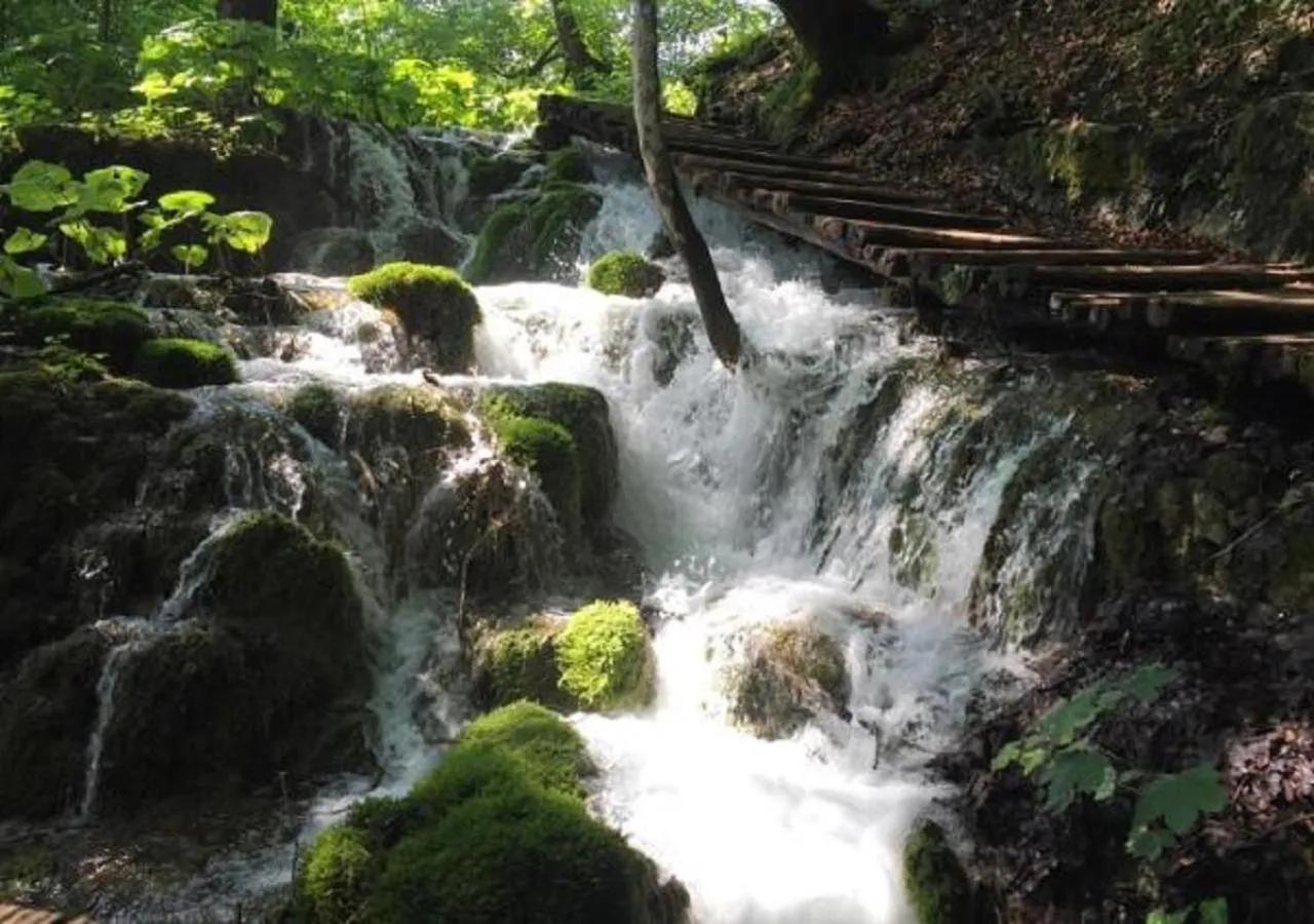 Natural landscape in House Antonia